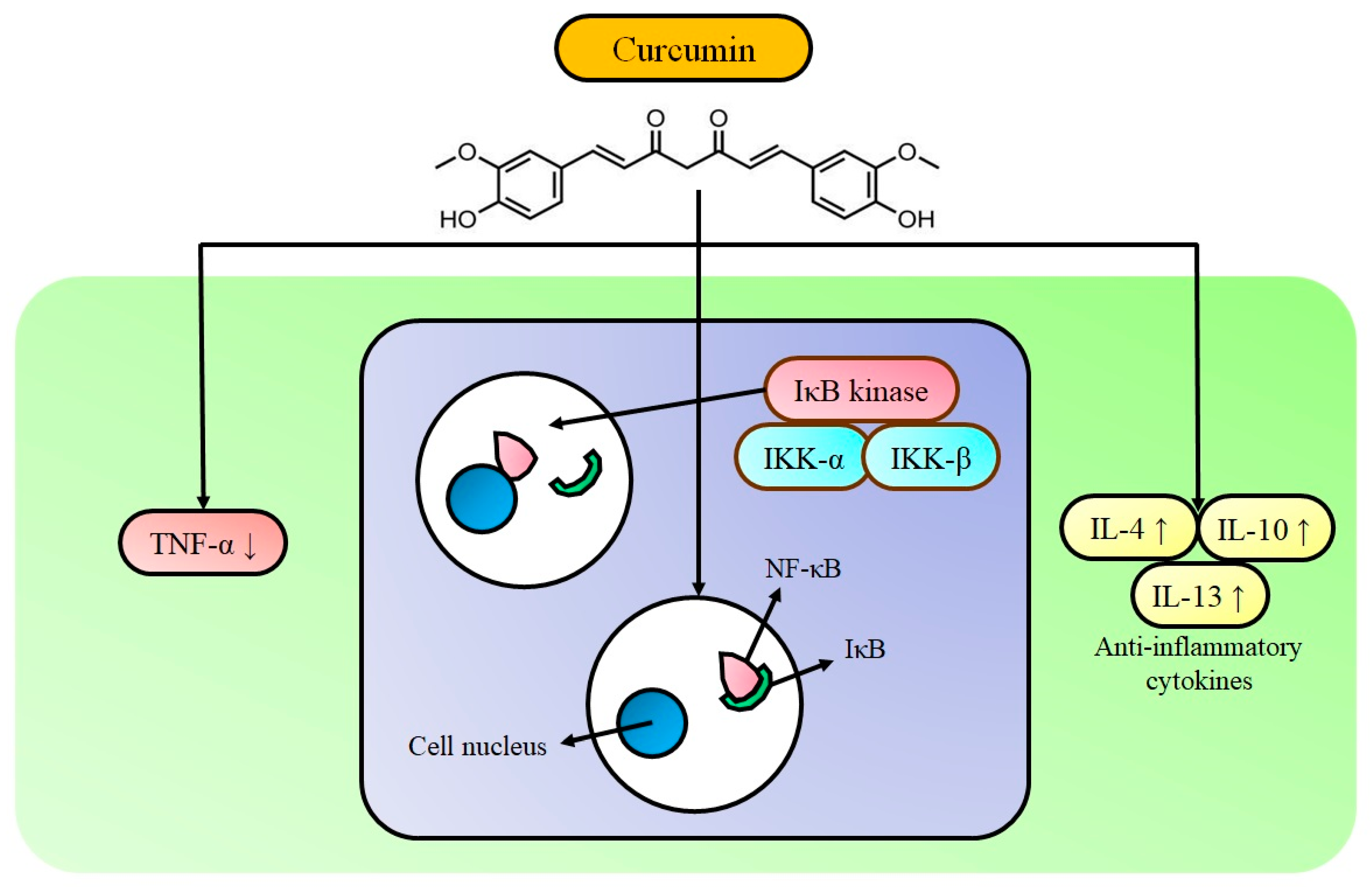 Pharmaceutics 13 00484 g003 Pharmaceutics 13 00484 g003