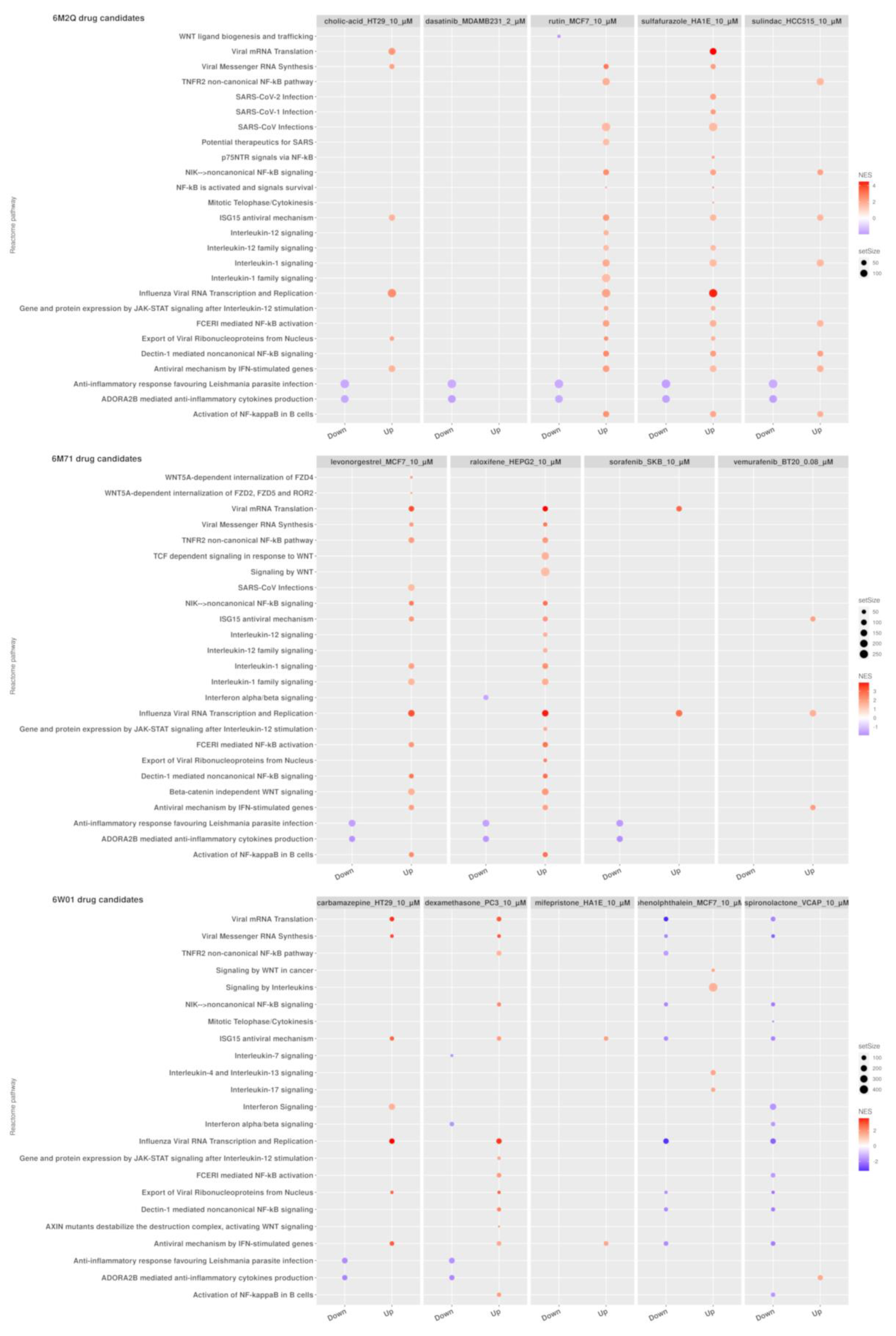 Pharmaceutics 13 00488 g003