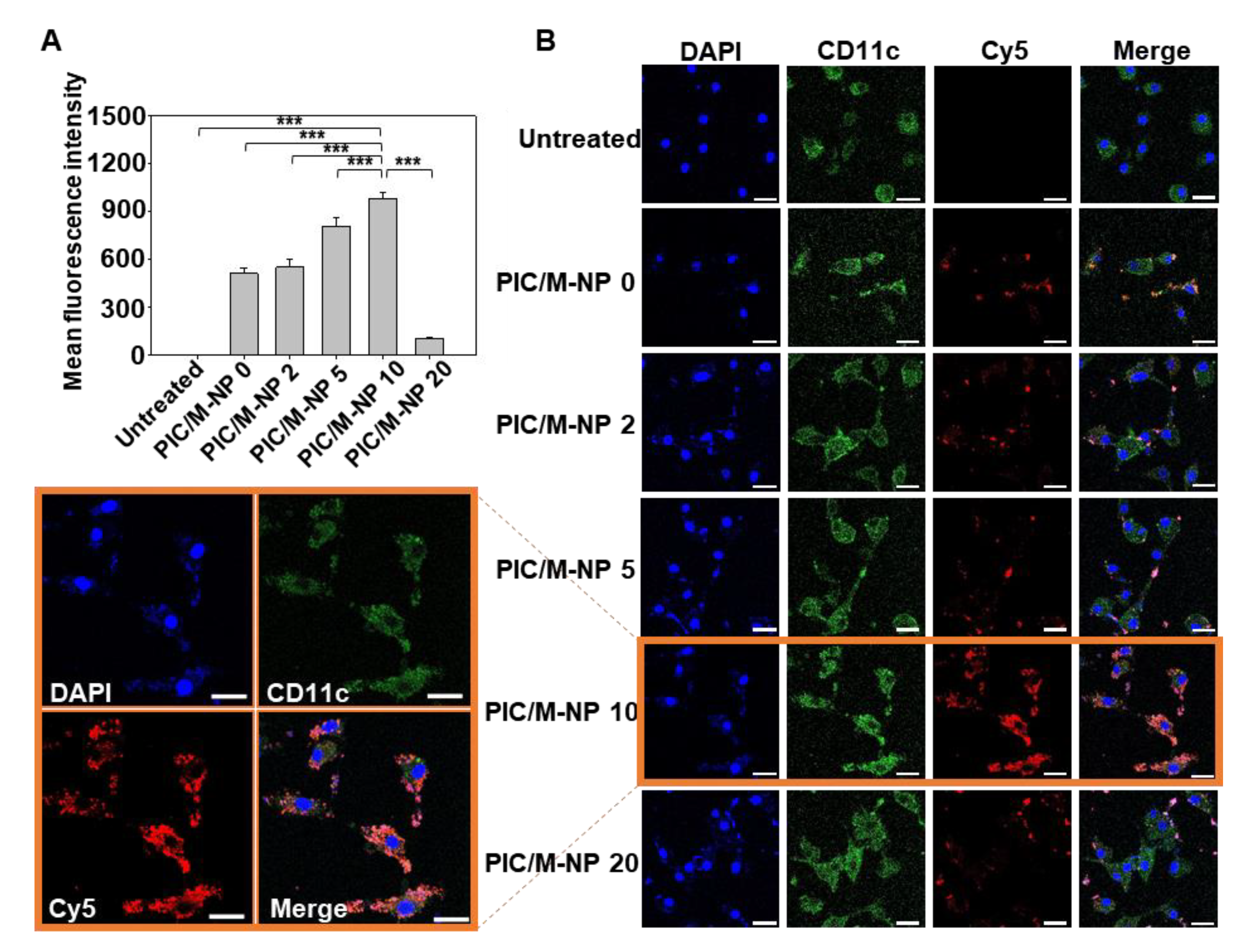 Pharmaceutics 13 00490 g004