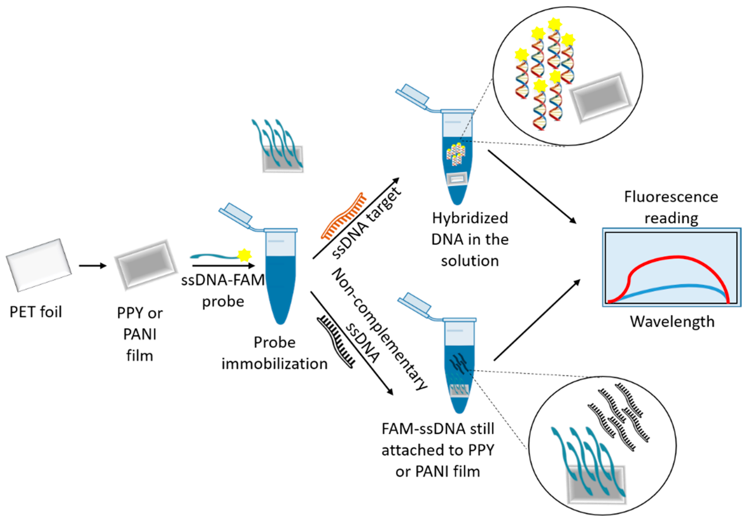 Pharmaceutics 13 00491 g002 Pharmaceutics 13 00491 g002
