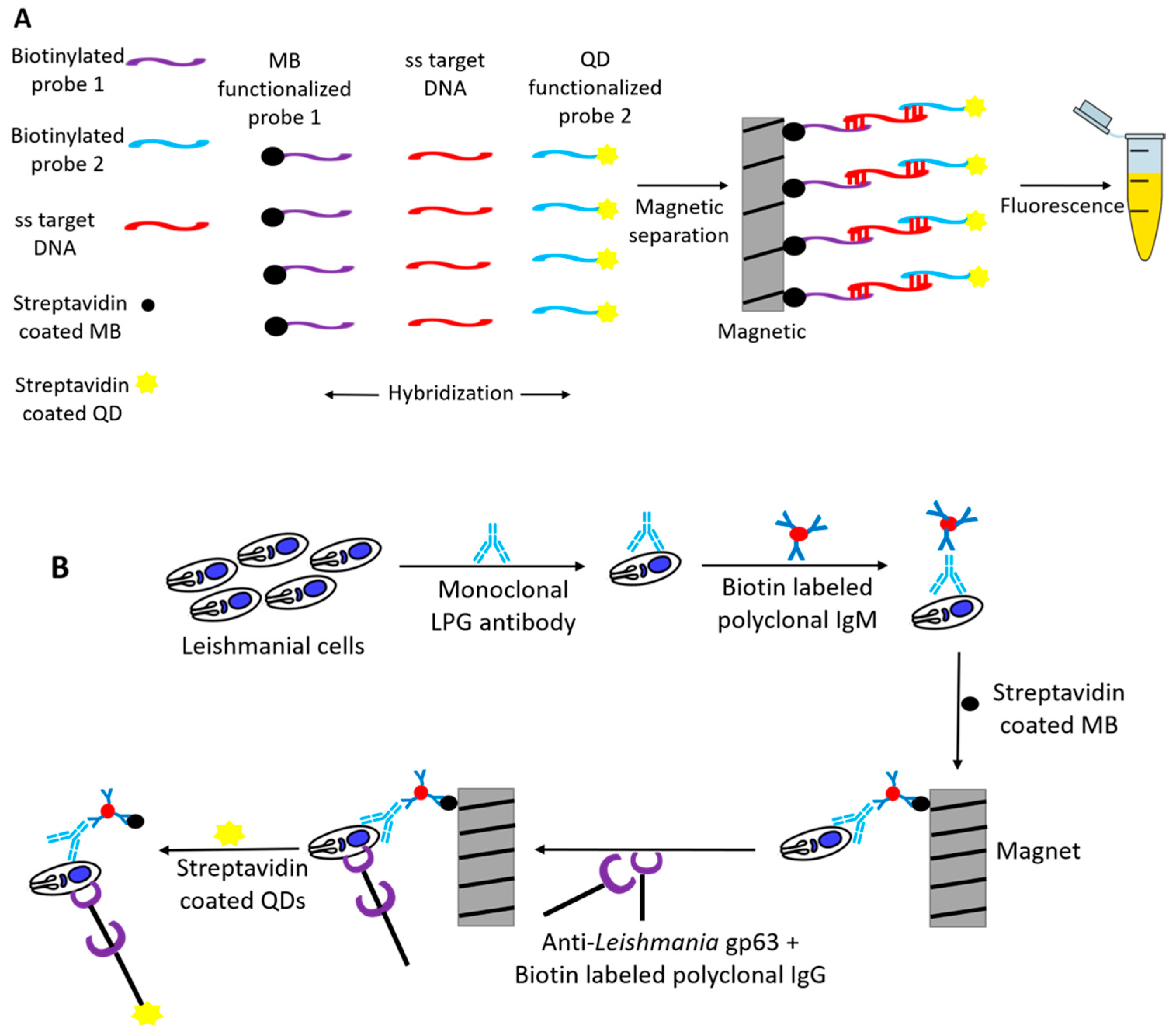 Pharmaceutics 13 00491 g003 Pharmaceutics 13 00491 g003