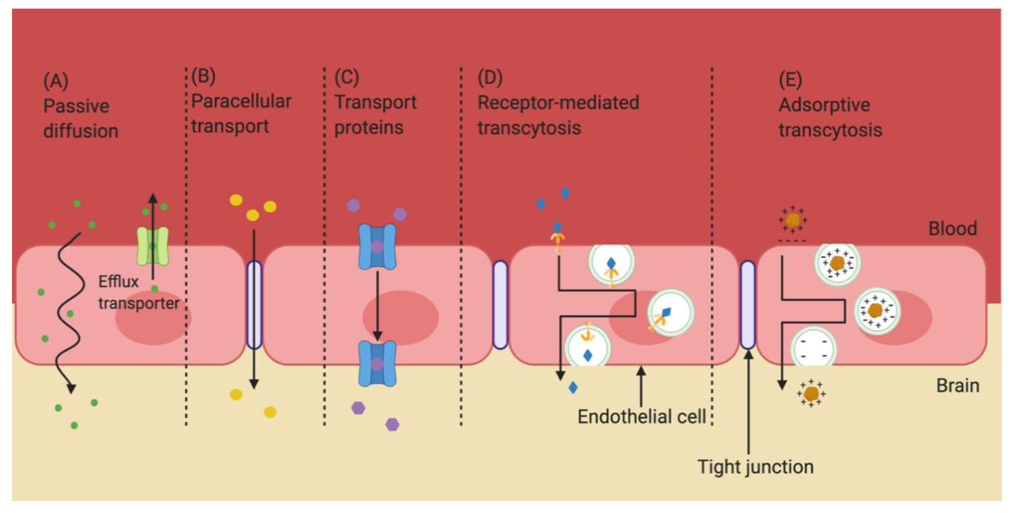 Pharmaceutics 13 00492 g002 Pharmaceutics 13 00492 g002