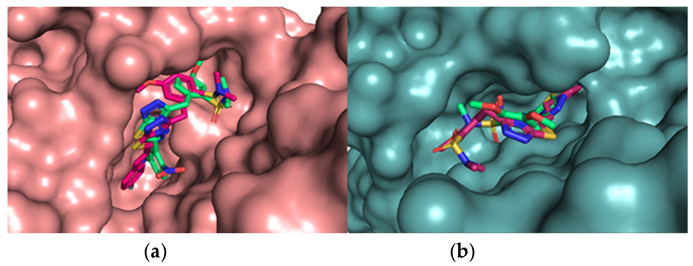 Pharmaceutics 13 00493 g004