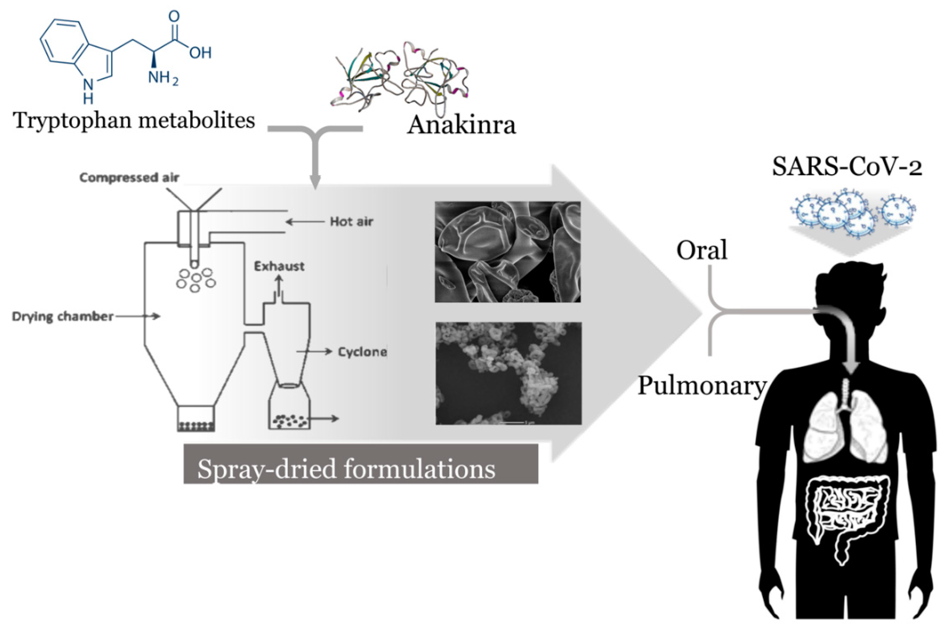 Pharmaceutics 13 00494 g002