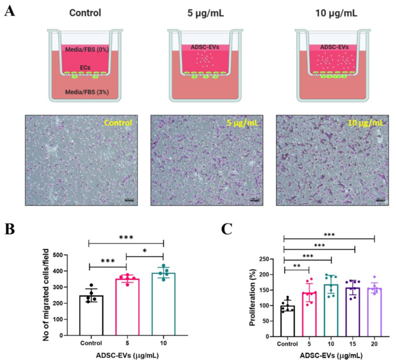 Pharmaceutics 13 00495 g004