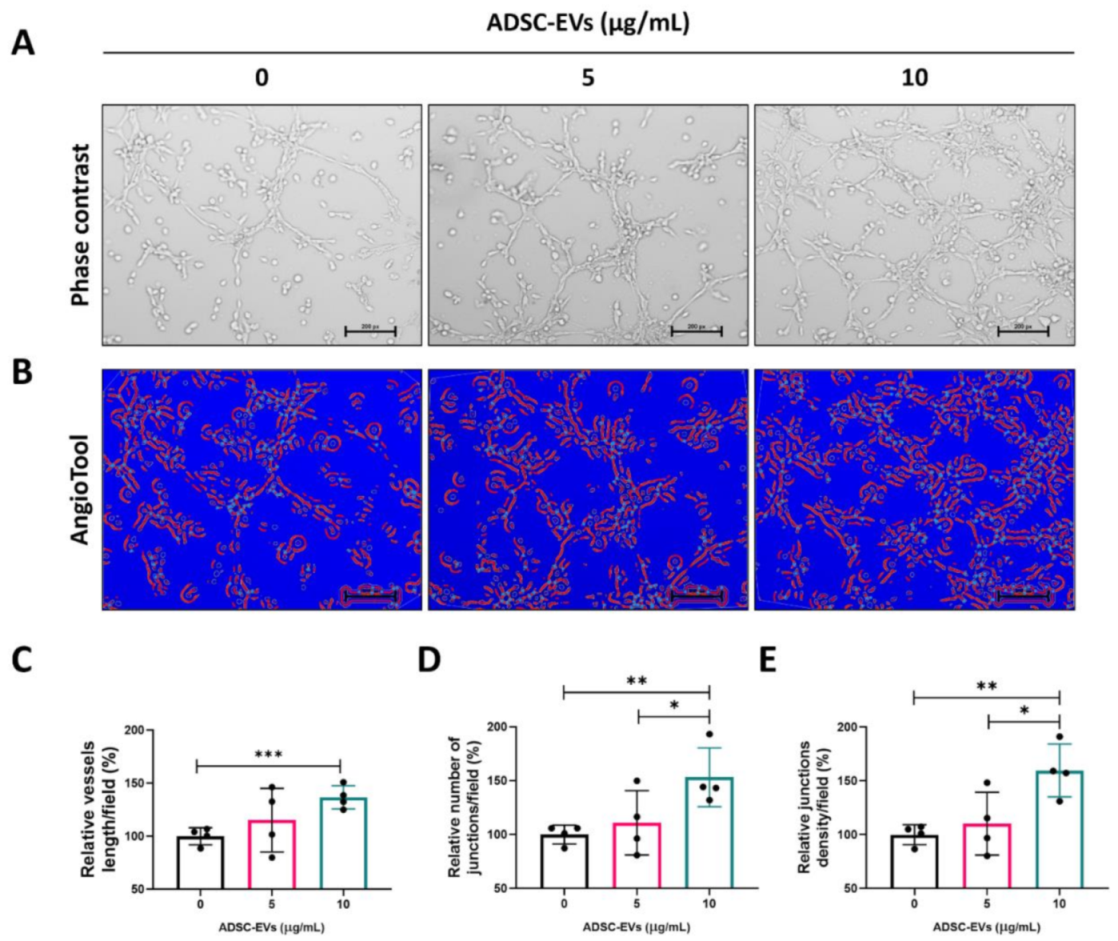 Pharmaceutics 13 00495 g005