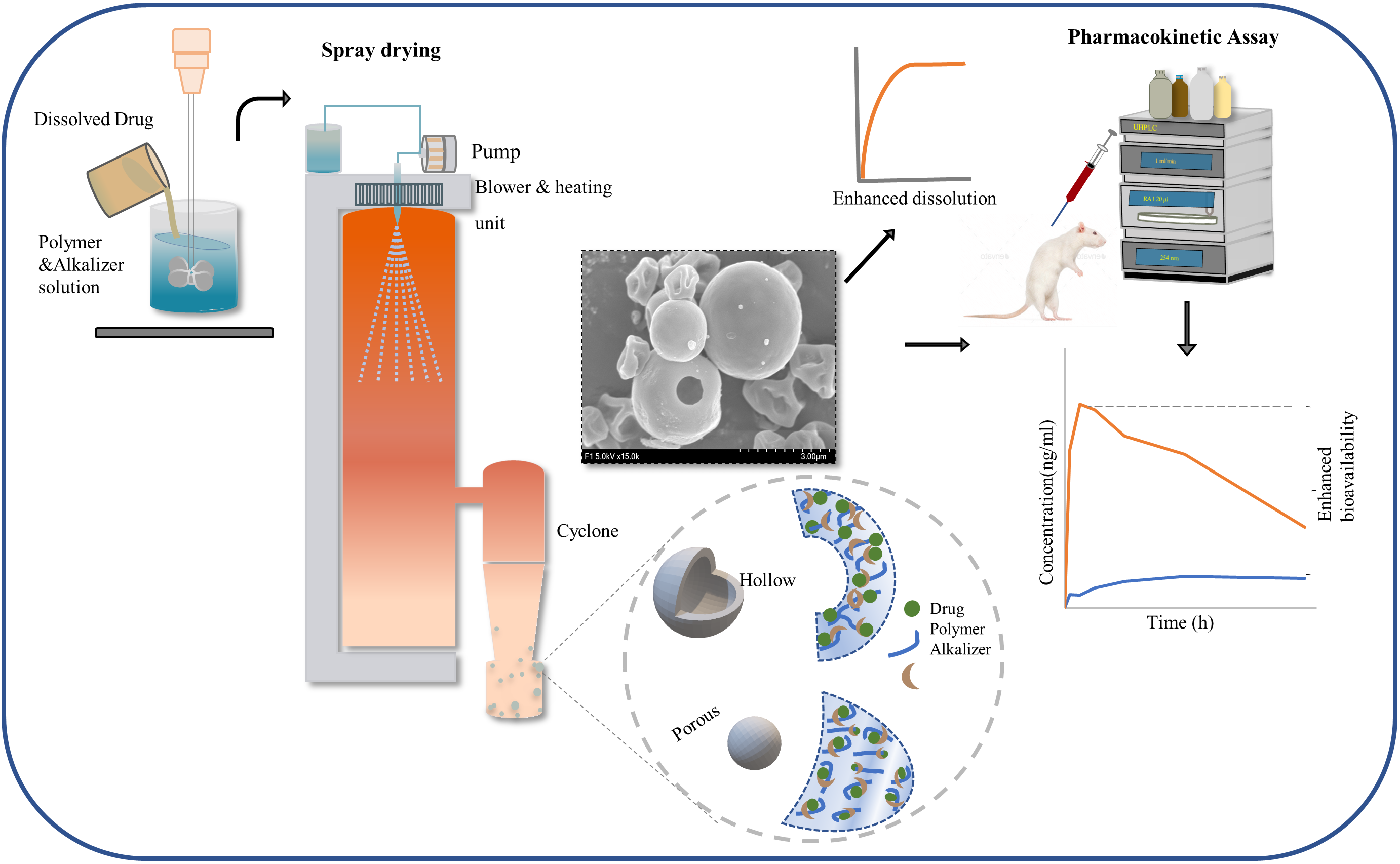 Pharmaceutics Free FullText Developing pHModulated Spray Dried