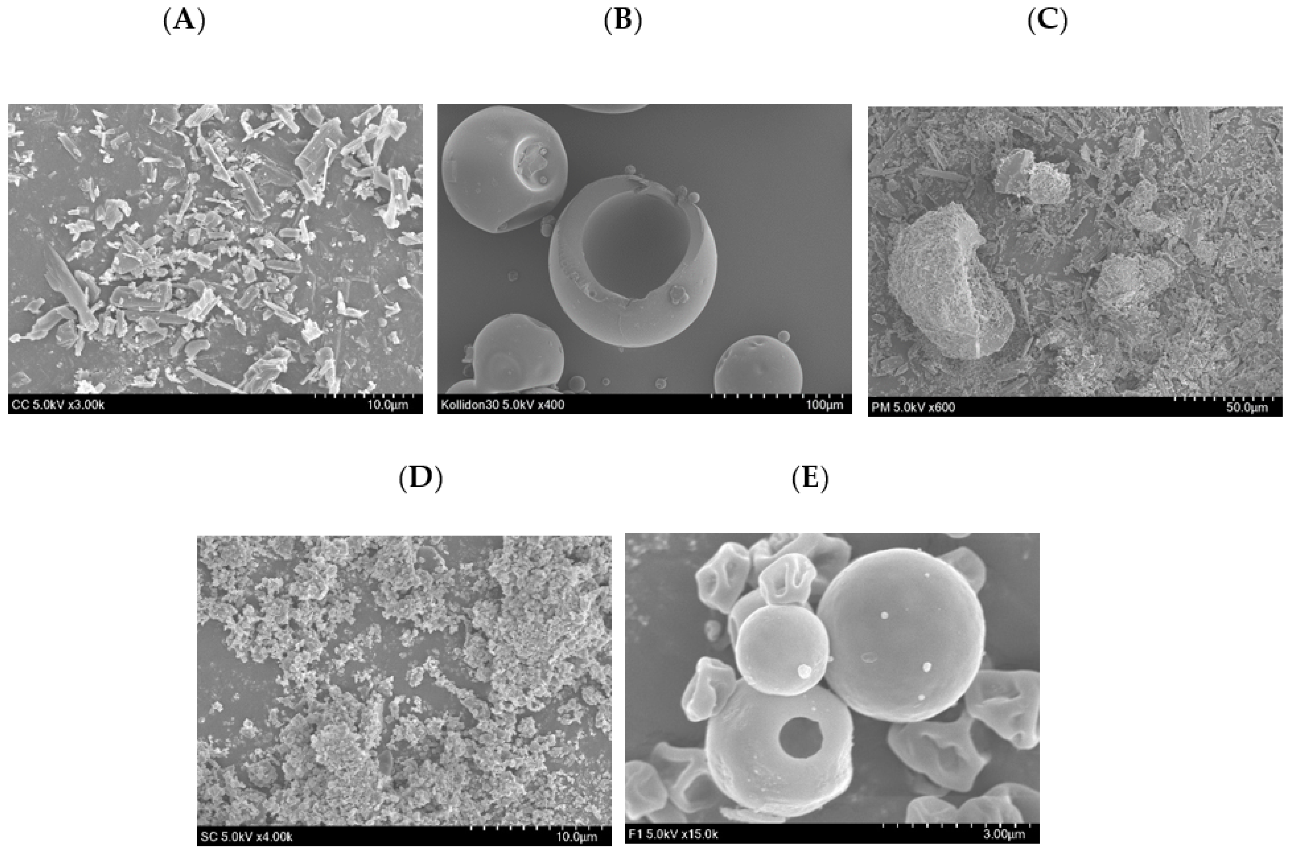 Pharmaceutics 13 00497 g006 Pharmaceutics 13 00497 g006