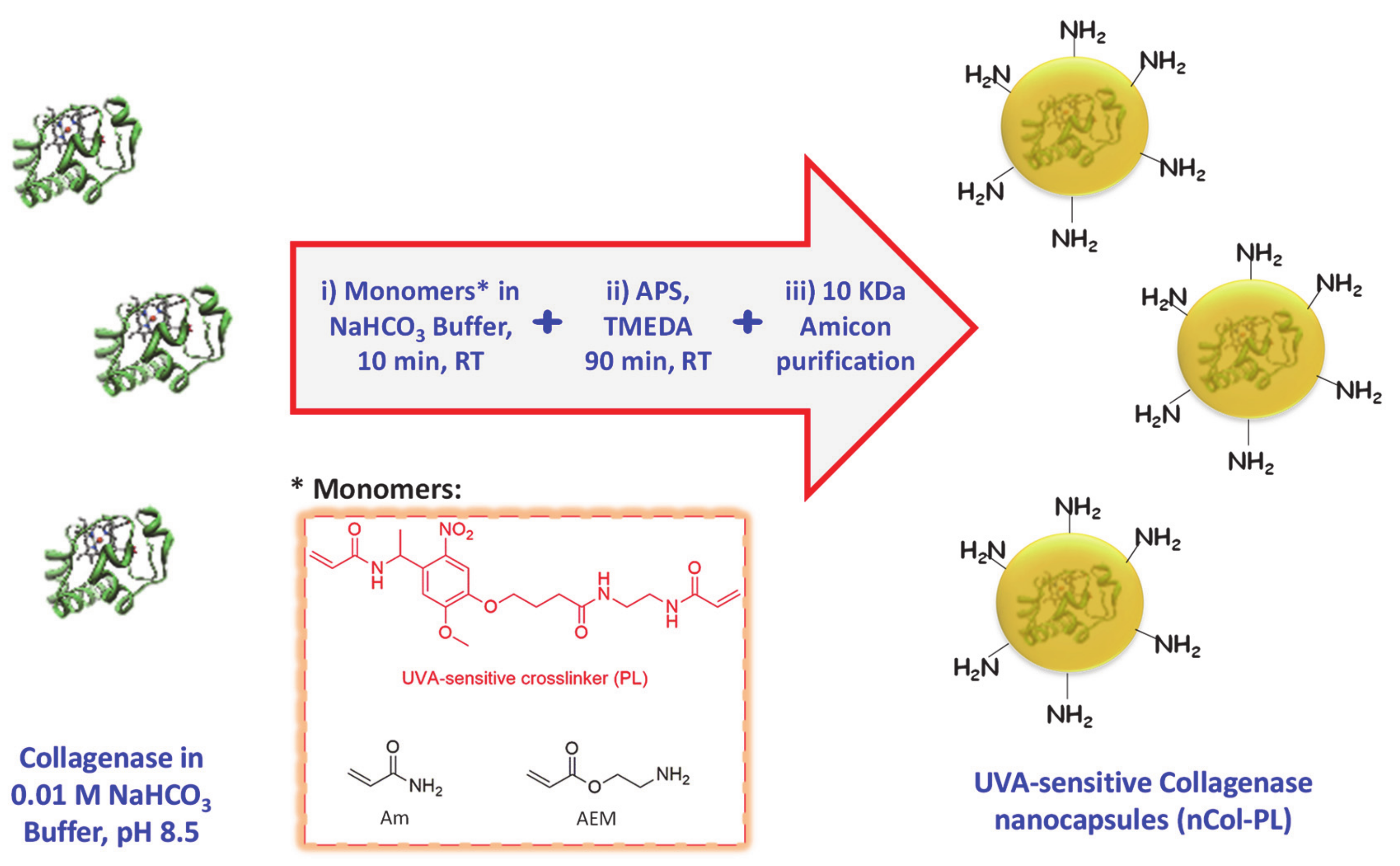 Pharmaceutics 13 00499 g002 Pharmaceutics 13 00499 g002