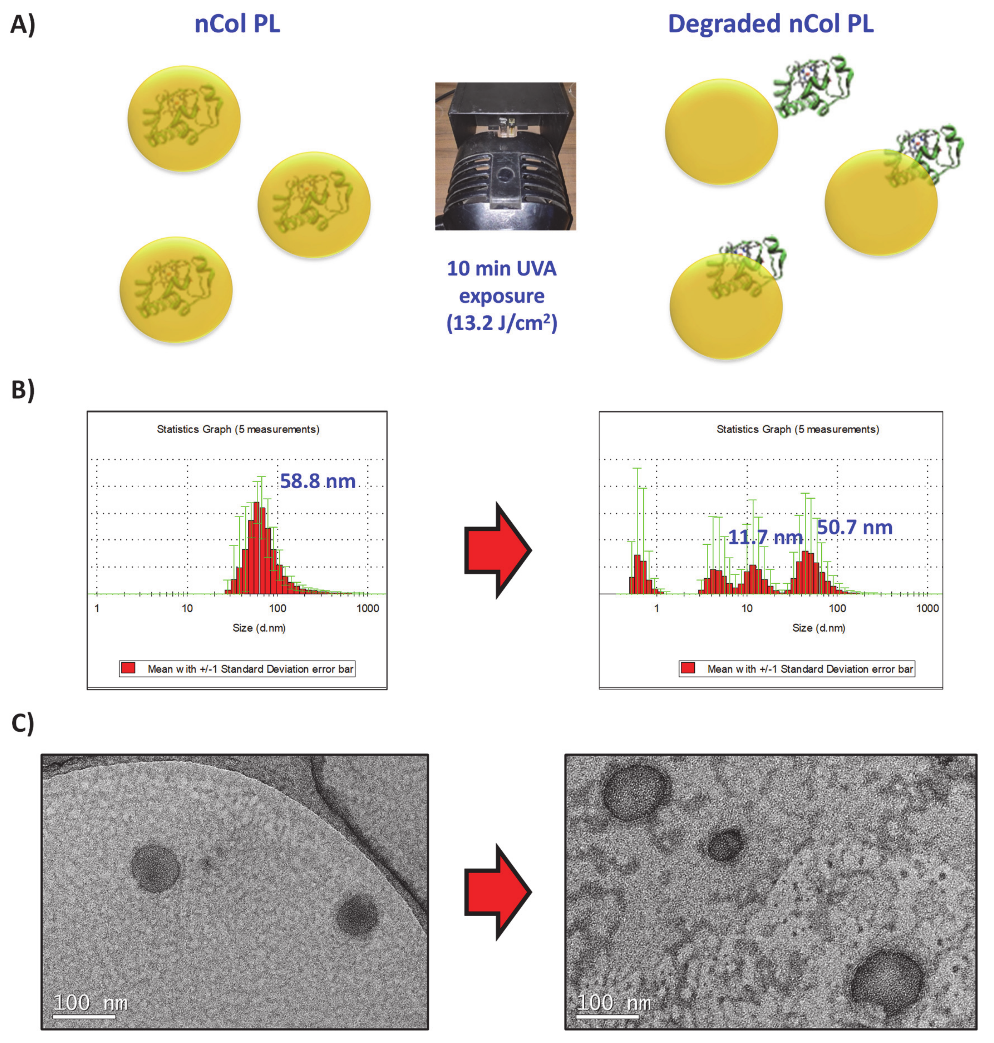 Pharmaceutics 13 00499 g004 Pharmaceutics 13 00499 g004