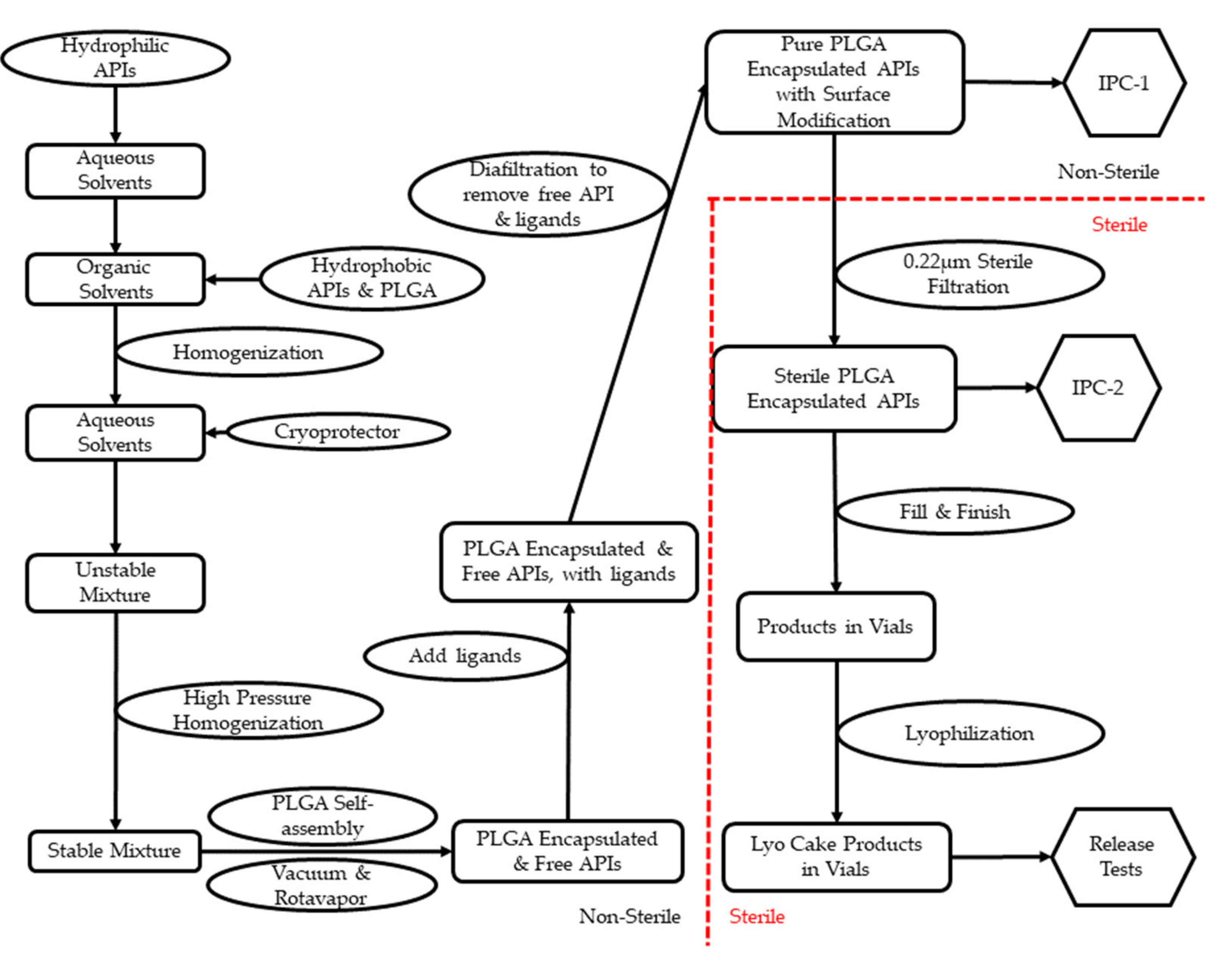 Pharmaceutics 13 00500 g002