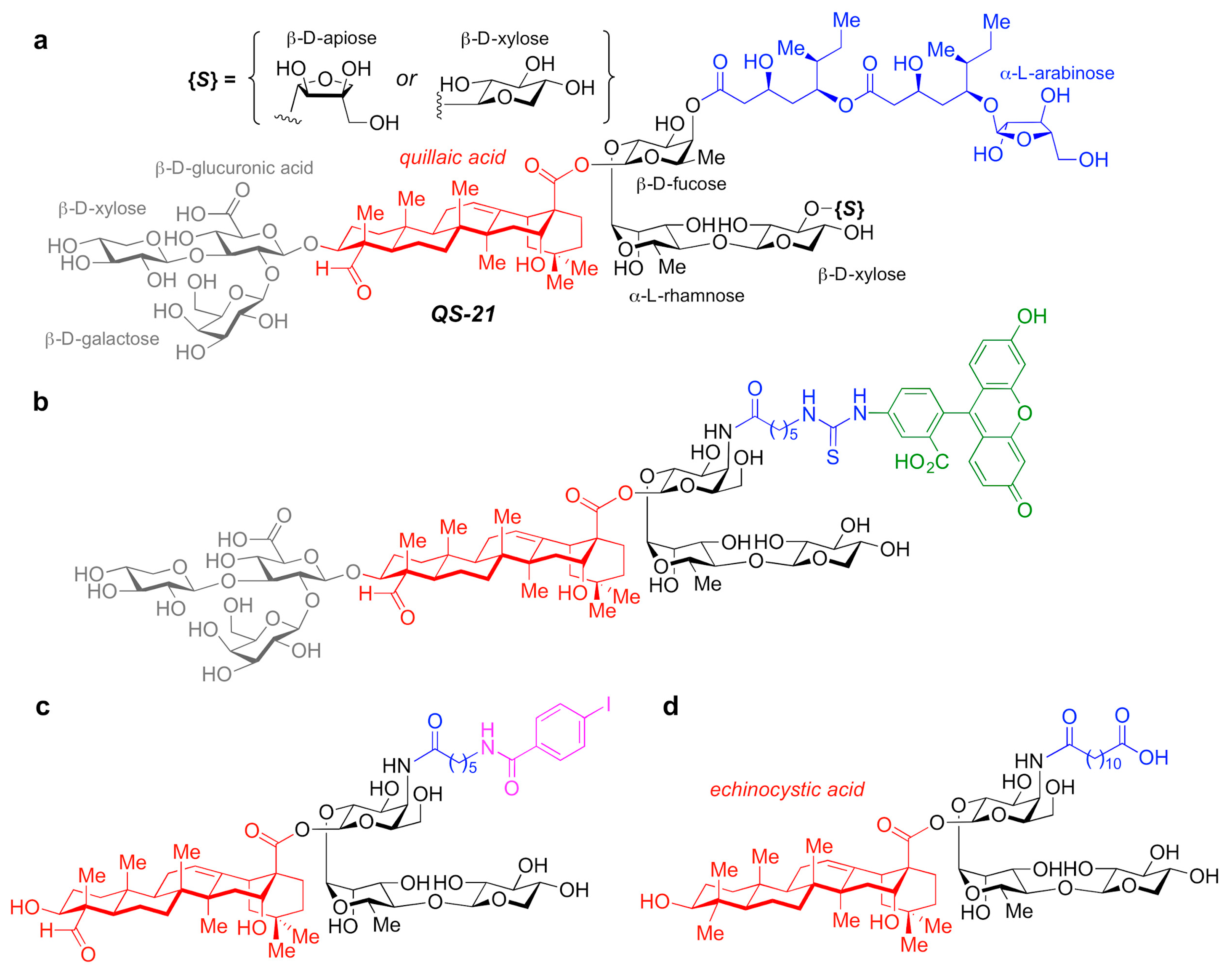 Pharmaceutics 13 00501 g005 Pharmaceutics 13 00501 g005