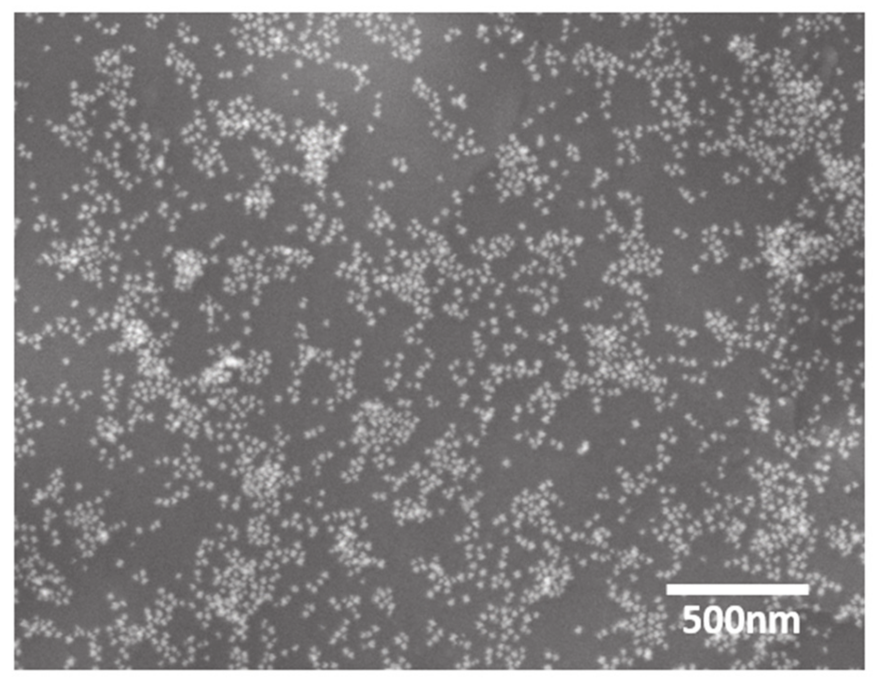 Pharmaceutics 13 00502 g004
