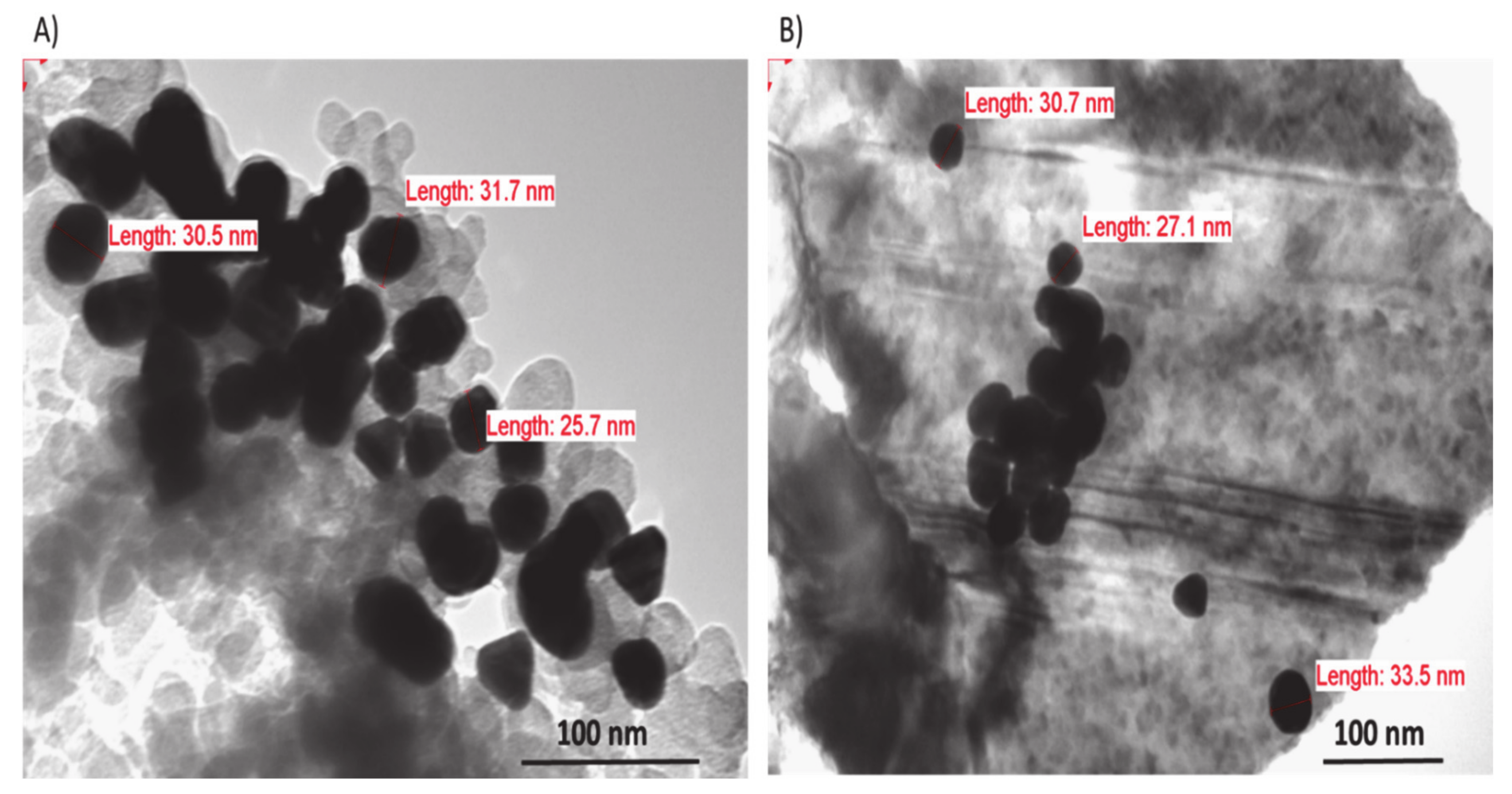 Pharmaceutics 13 00502 g005