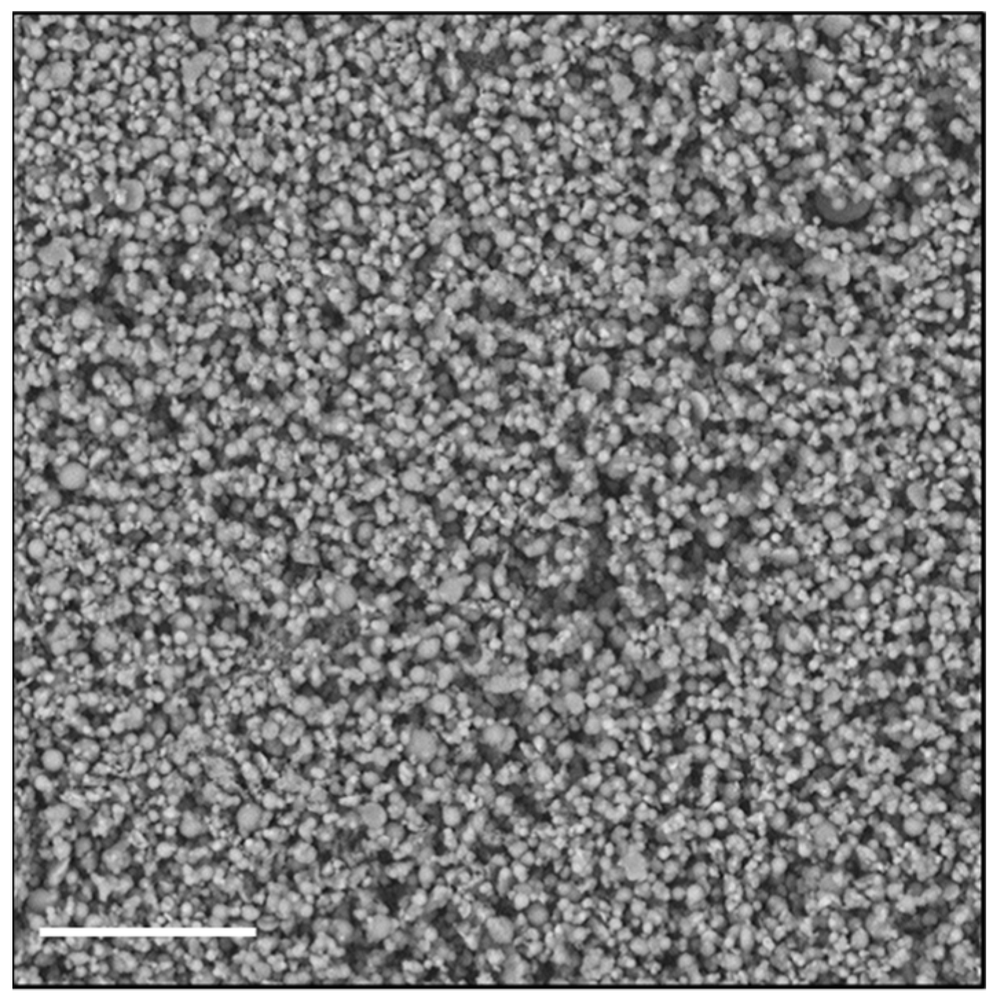 Pharmaceutics 13 00503 g002 Pharmaceutics 13 00503 g002