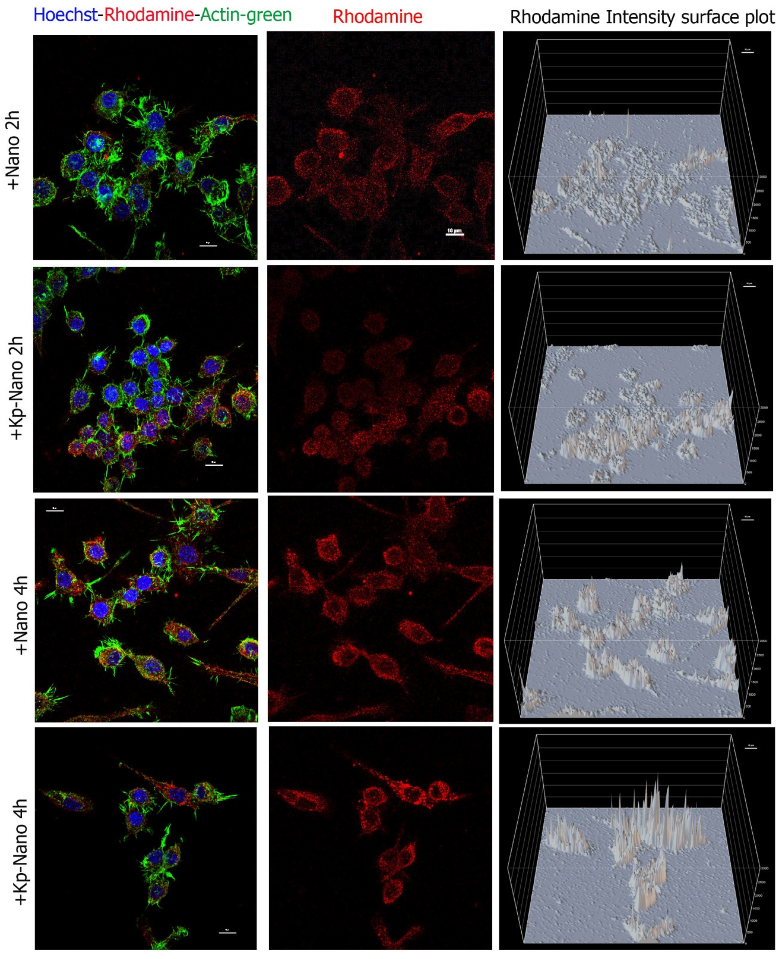 Pharmaceutics 13 00503 g005 Pharmaceutics 13 00503 g005