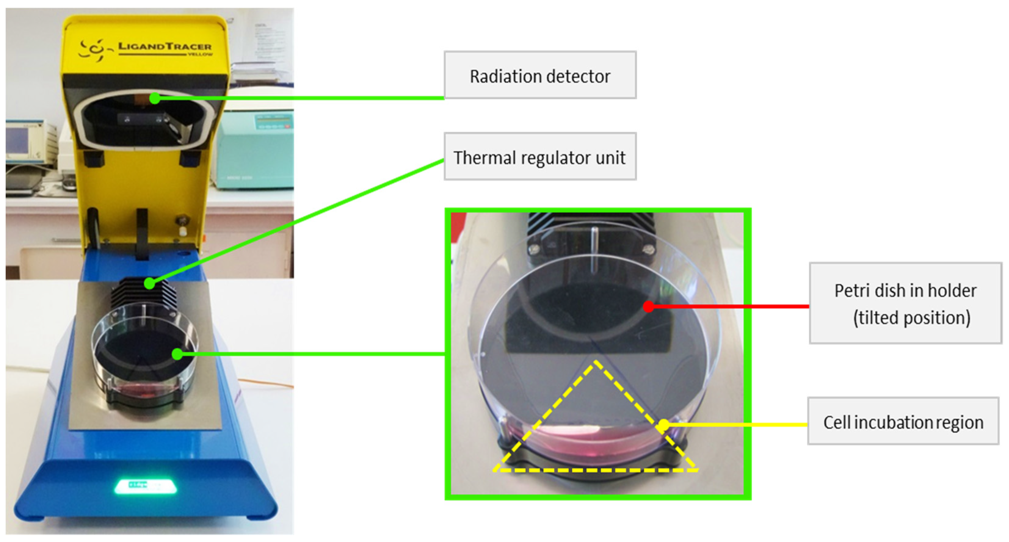 Pharmaceutics 13 00506 g002
