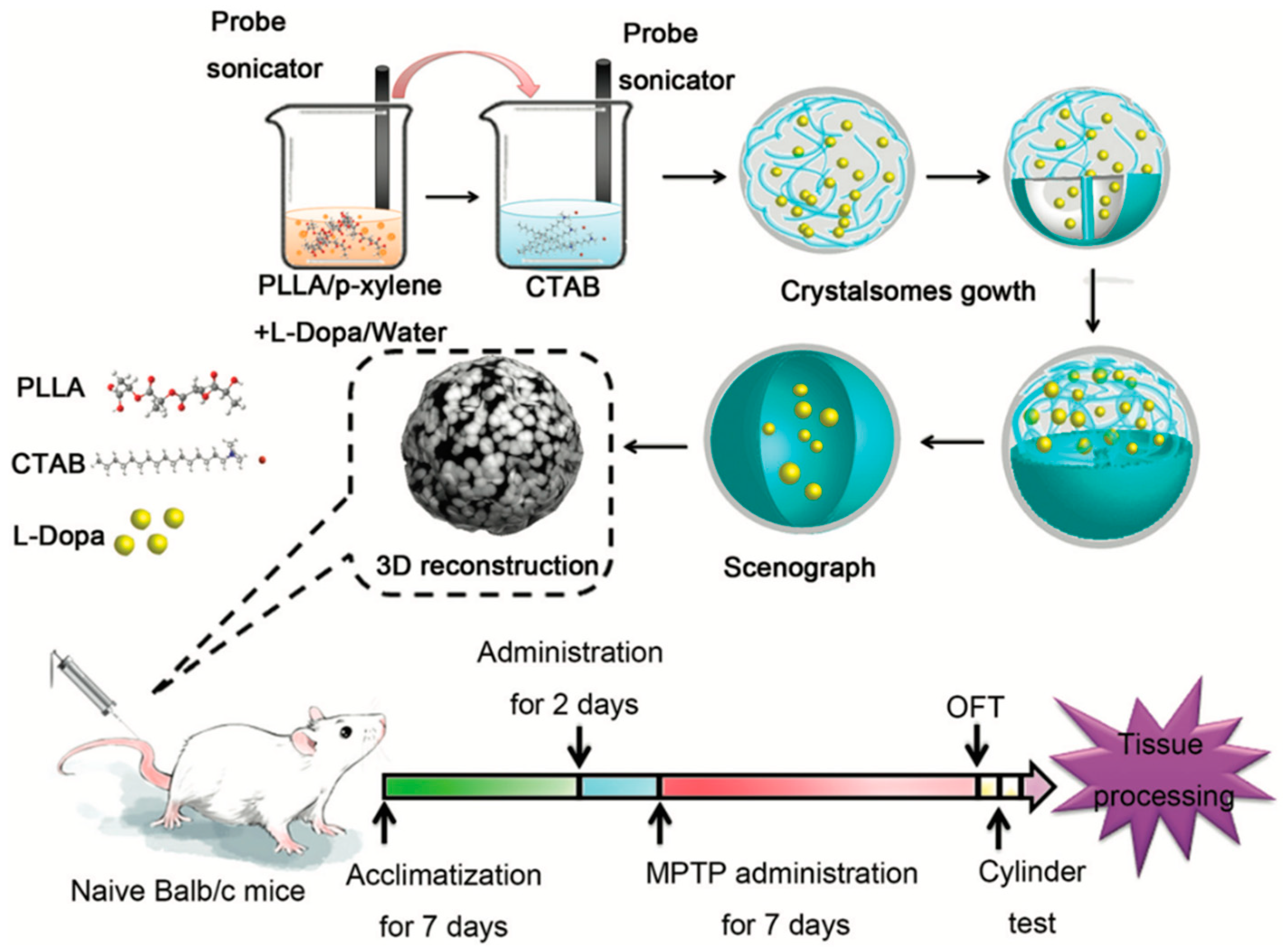 Pharmaceutics 13 00508 g004 Pharmaceutics 13 00508 g004