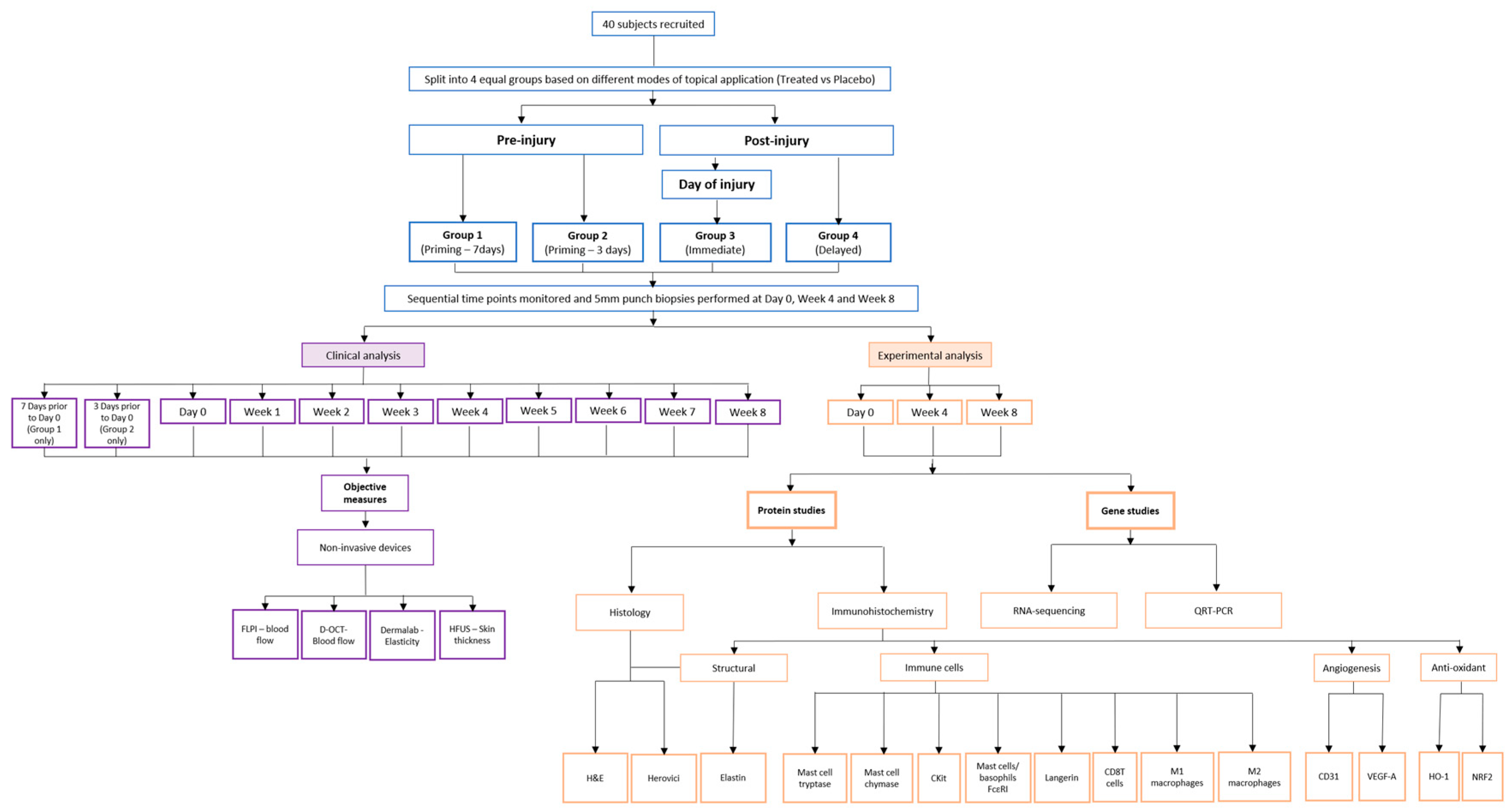 Pharmaceutics 13 00510 g001