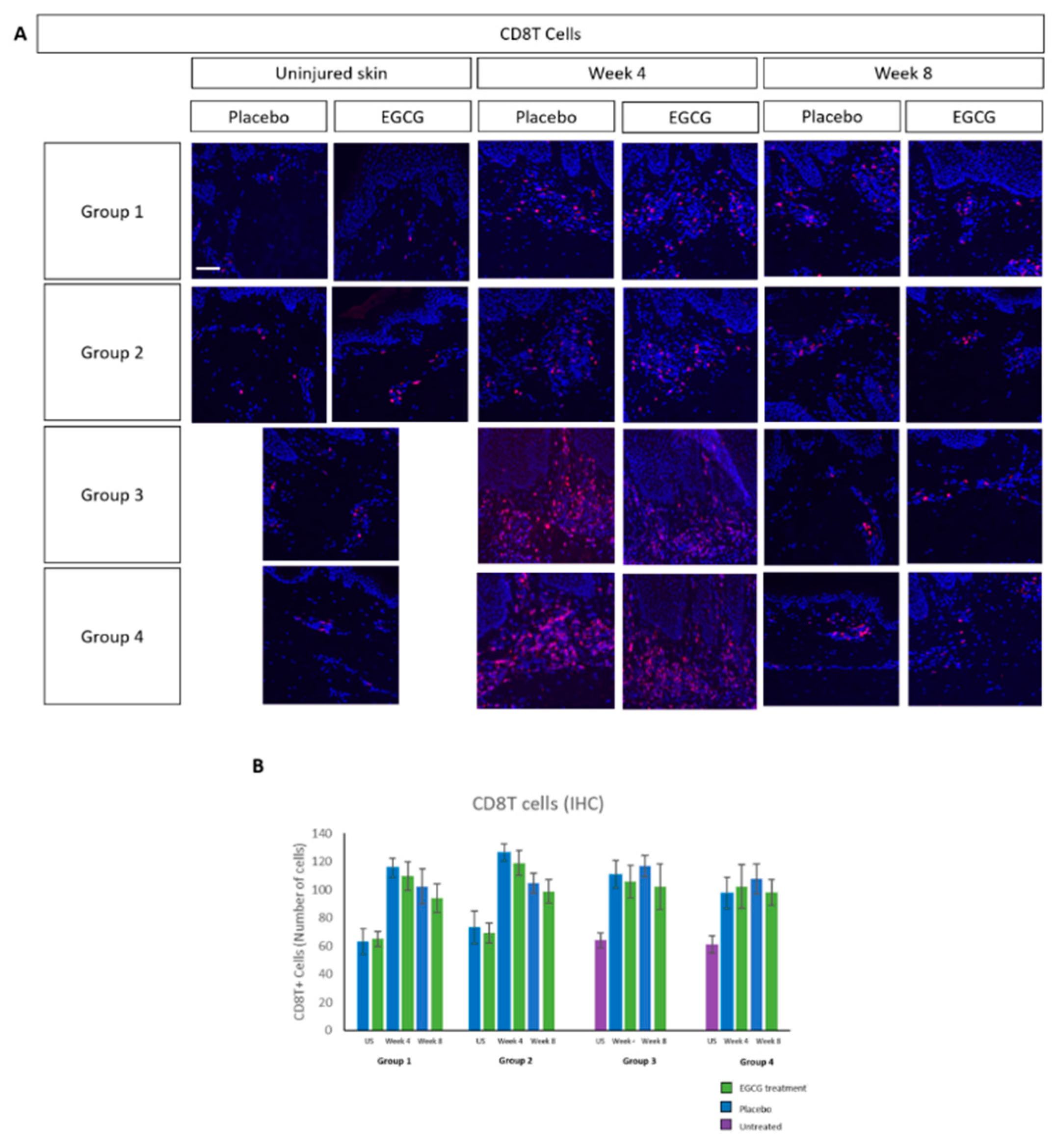 Pharmaceutics 13 00510 g011