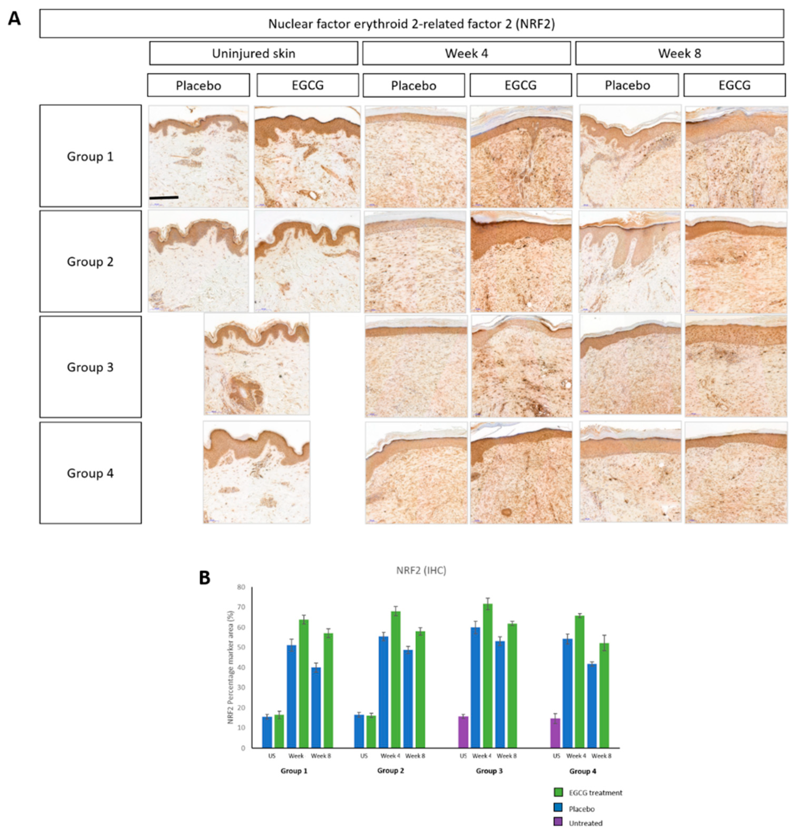Pharmaceutics 13 00510 g020