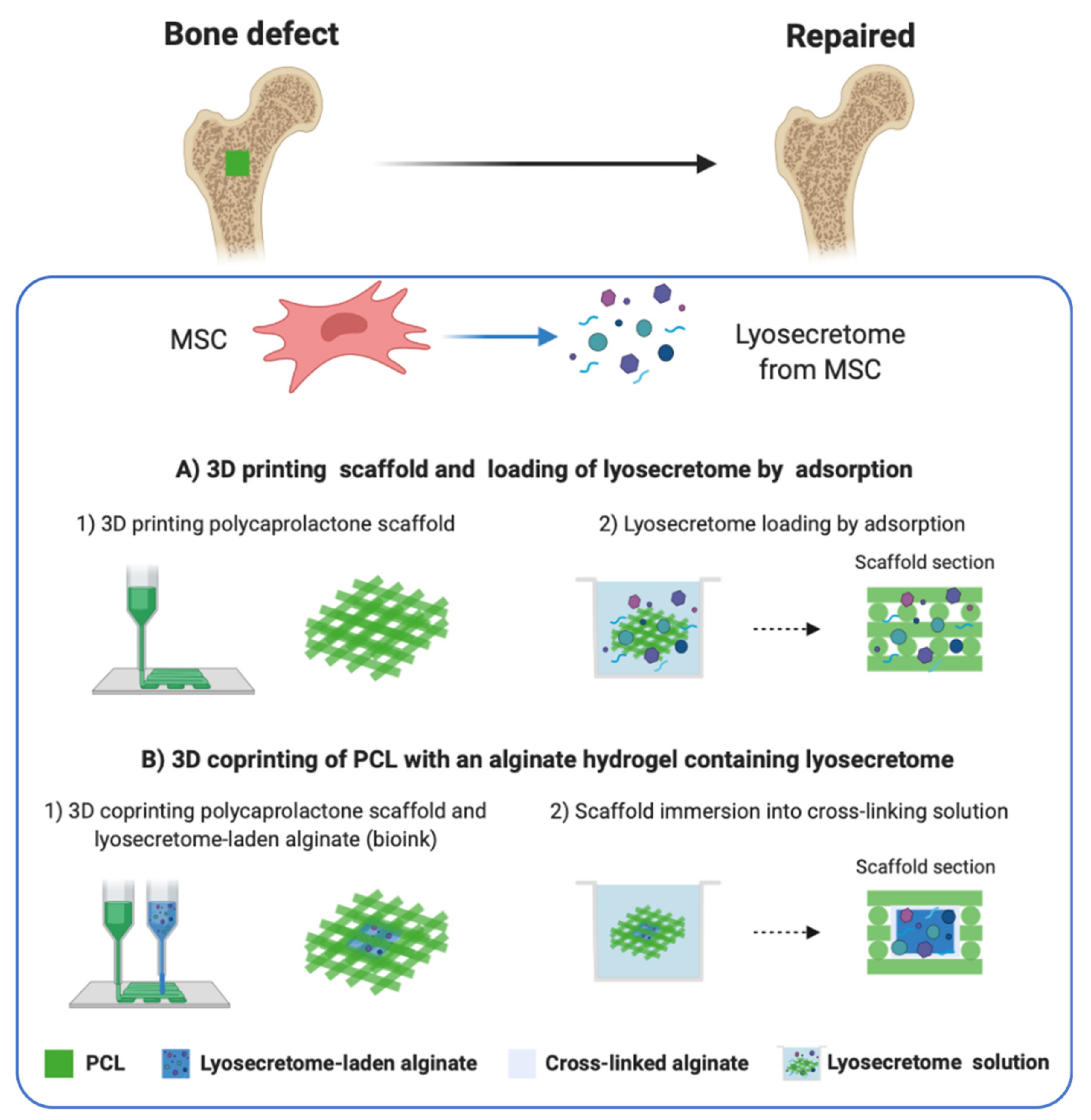 Pharmaceutics 13 00515 g001 Pharmaceutics 13 00515 g001