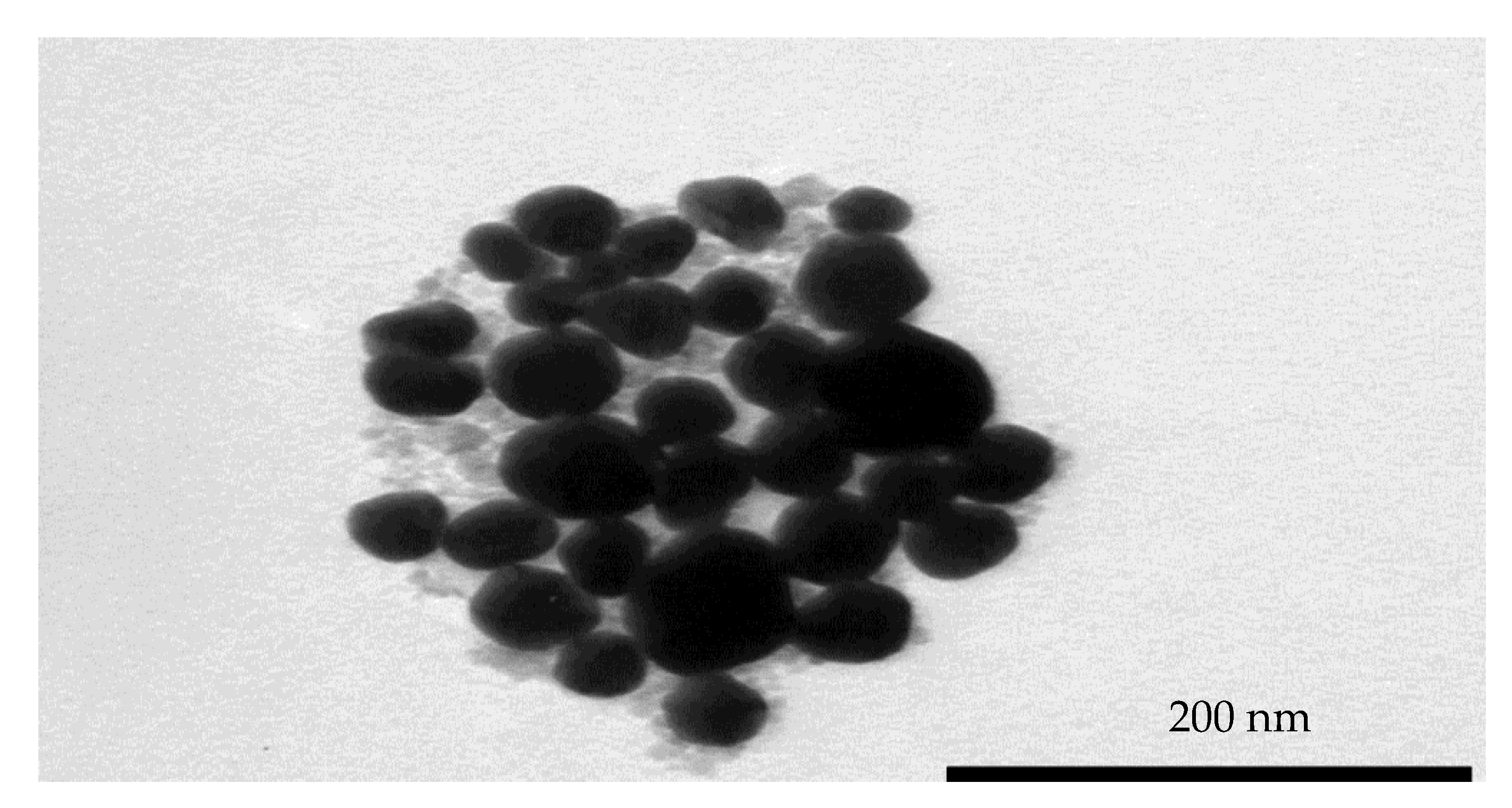Pharmaceutics 13 00517 g002