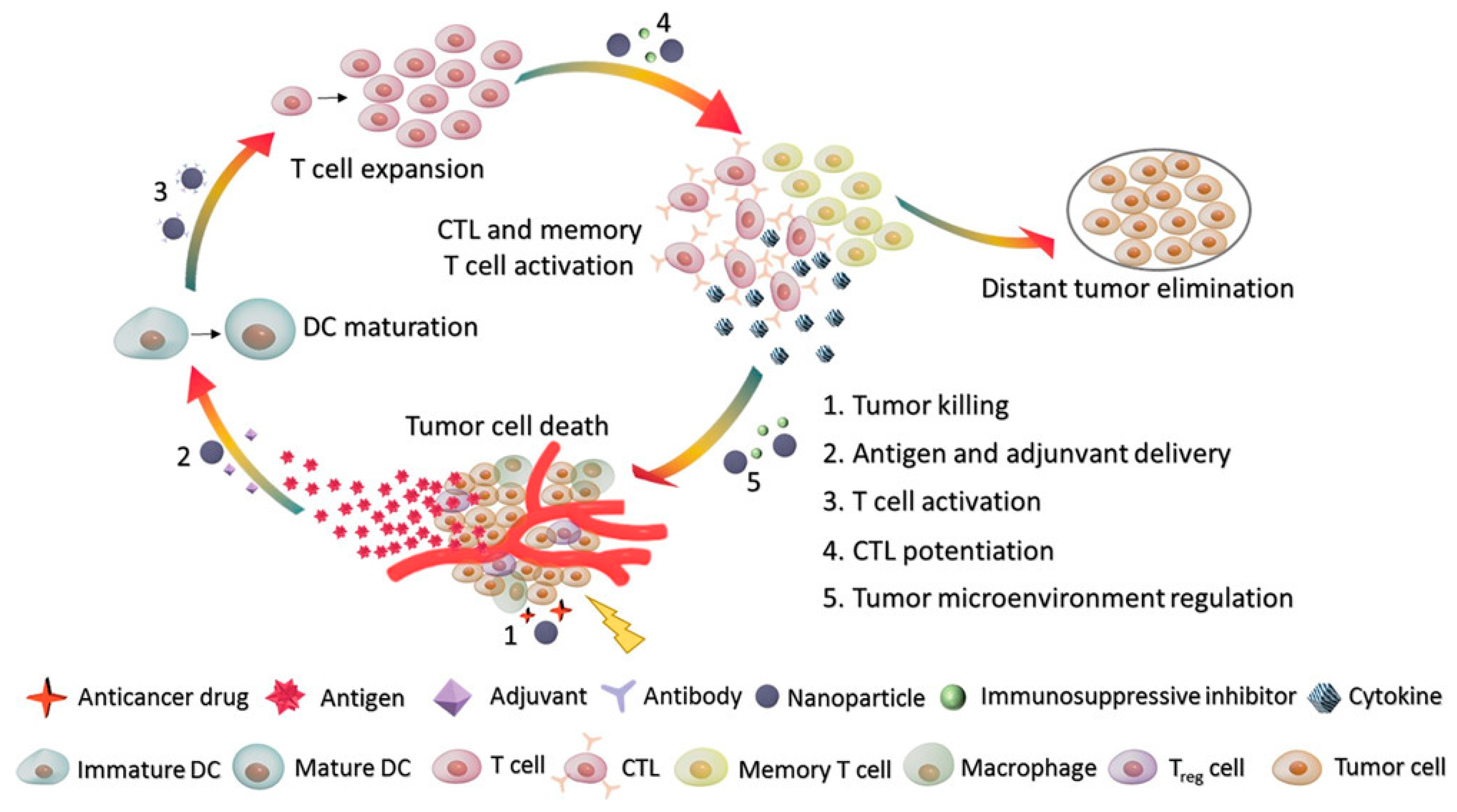 Pharmaceutics 13 00520 g001 Pharmaceutics 13 00520 g001