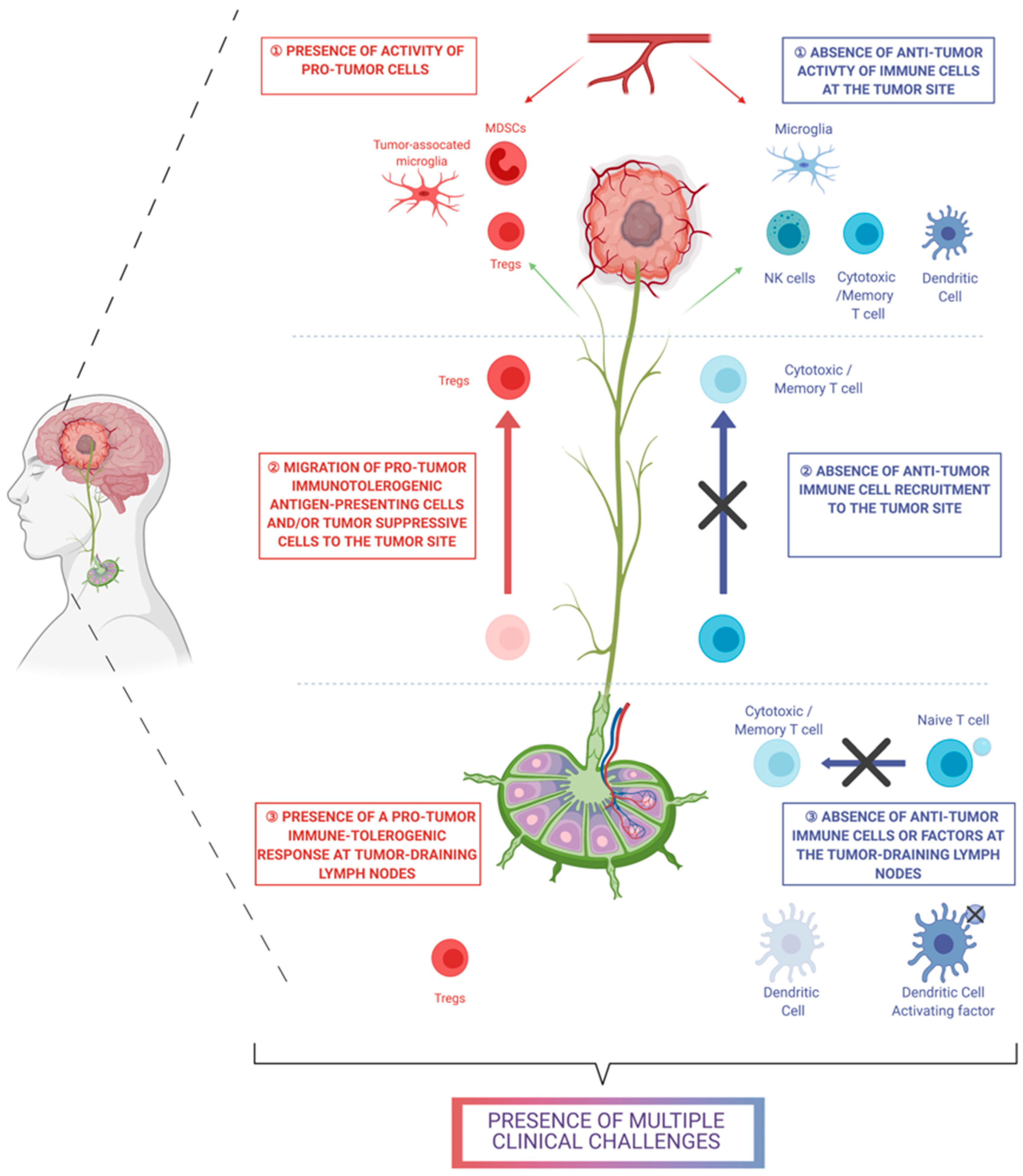 Pharmaceutics 13 00520 g002 Pharmaceutics 13 00520 g002
