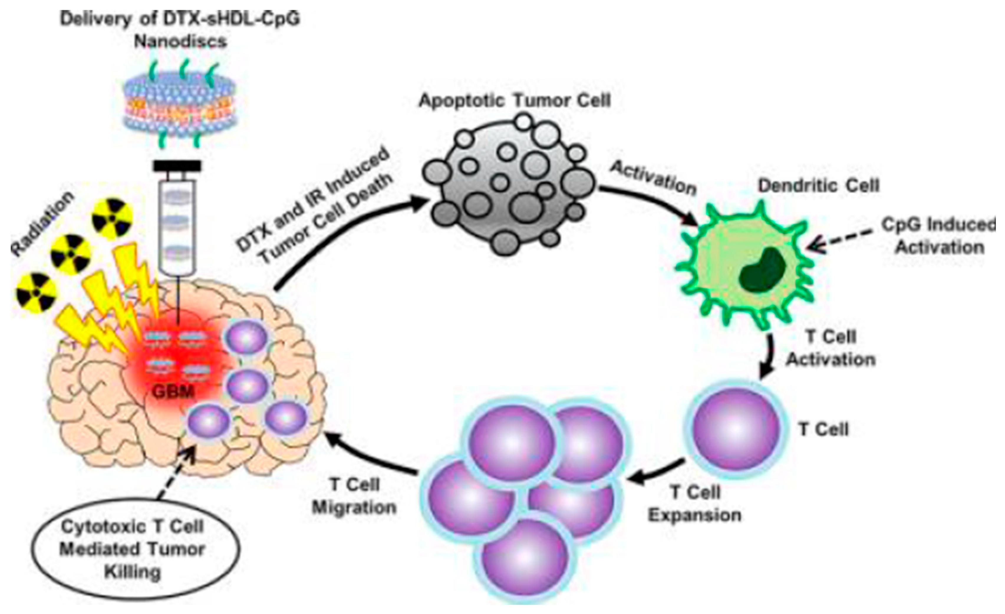 Pharmaceutics 13 00520 g005 Pharmaceutics 13 00520 g005