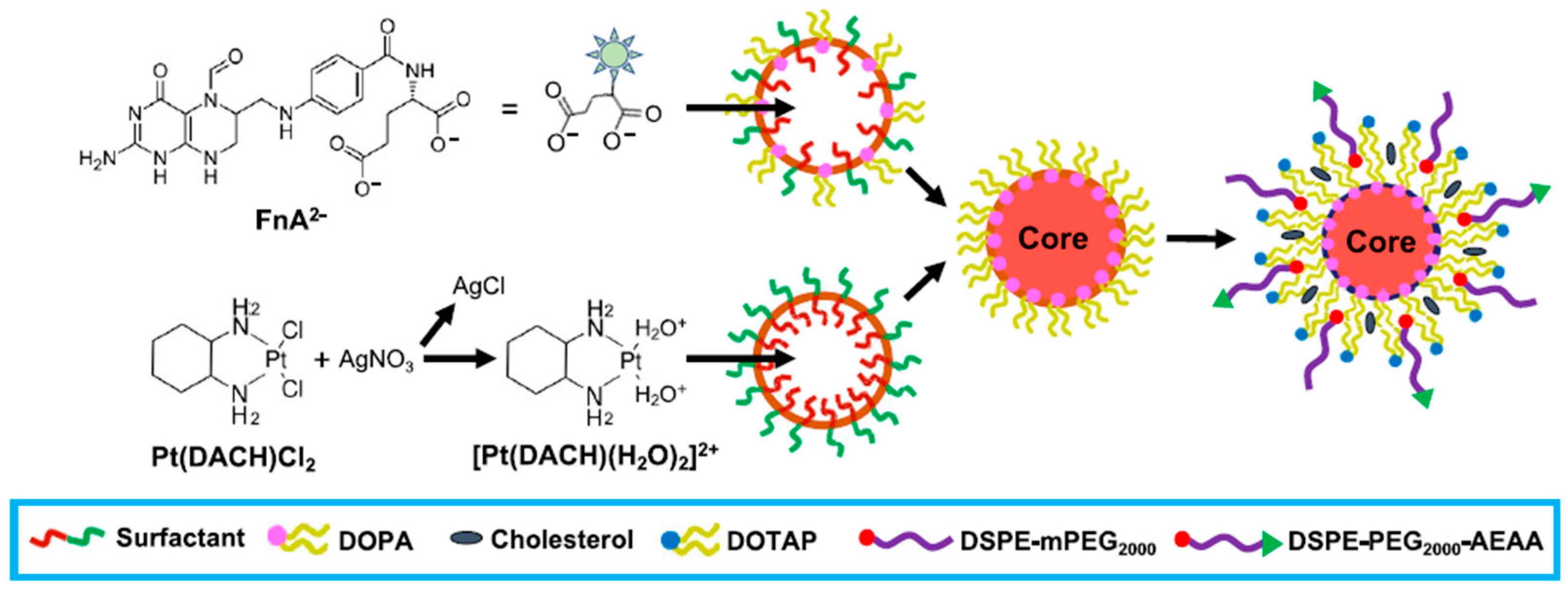 Pharmaceutics 13 00520 g006 Pharmaceutics 13 00520 g006