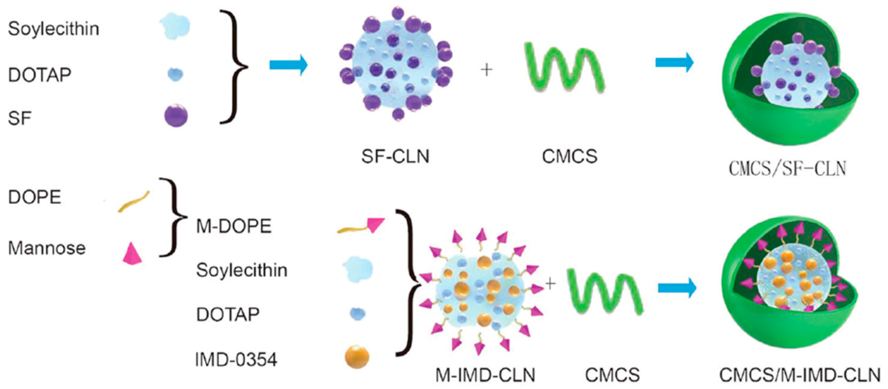 Pharmaceutics 13 00520 g007 Pharmaceutics 13 00520 g007