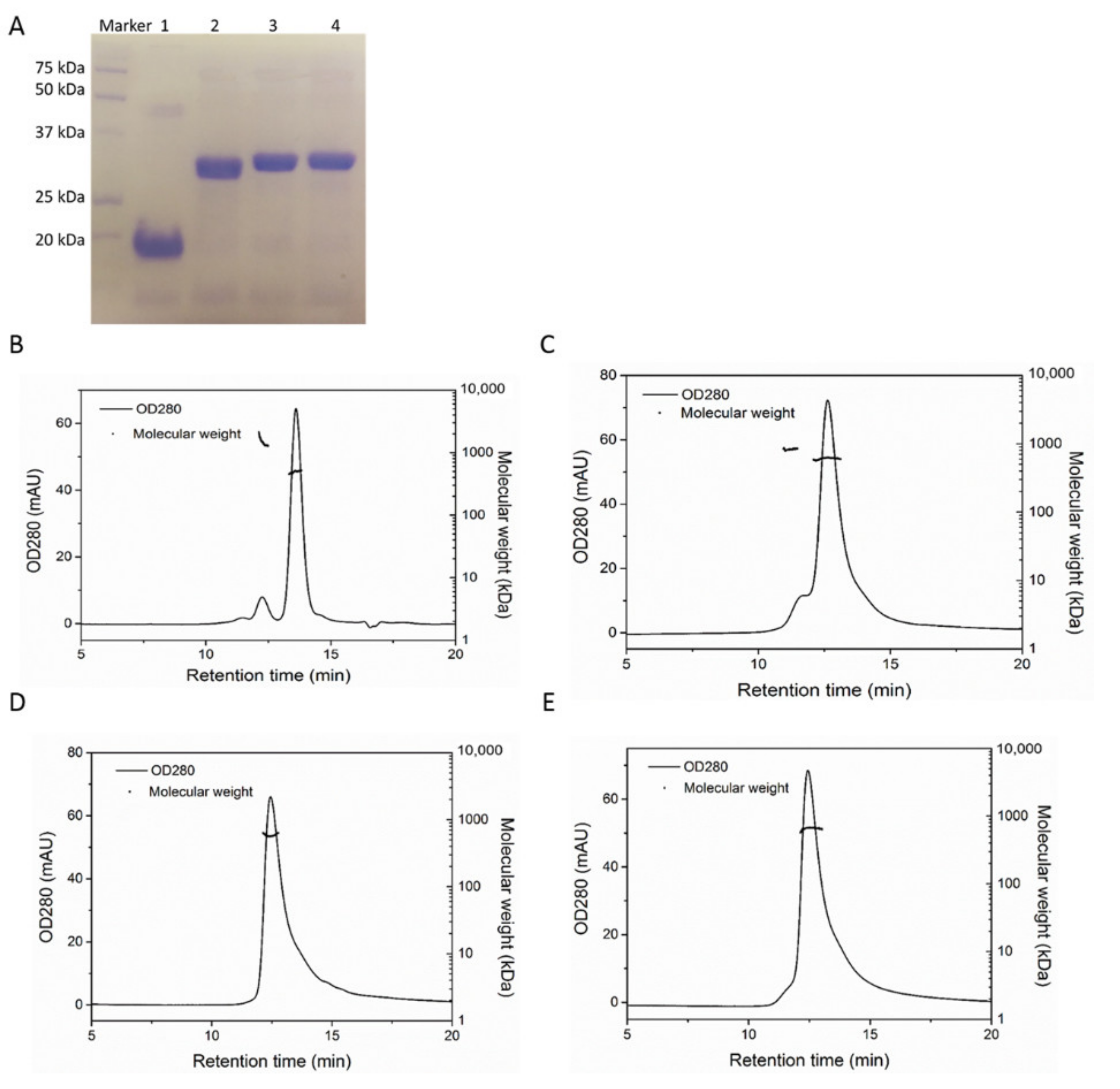 Pharmaceutics 13 00521 g001