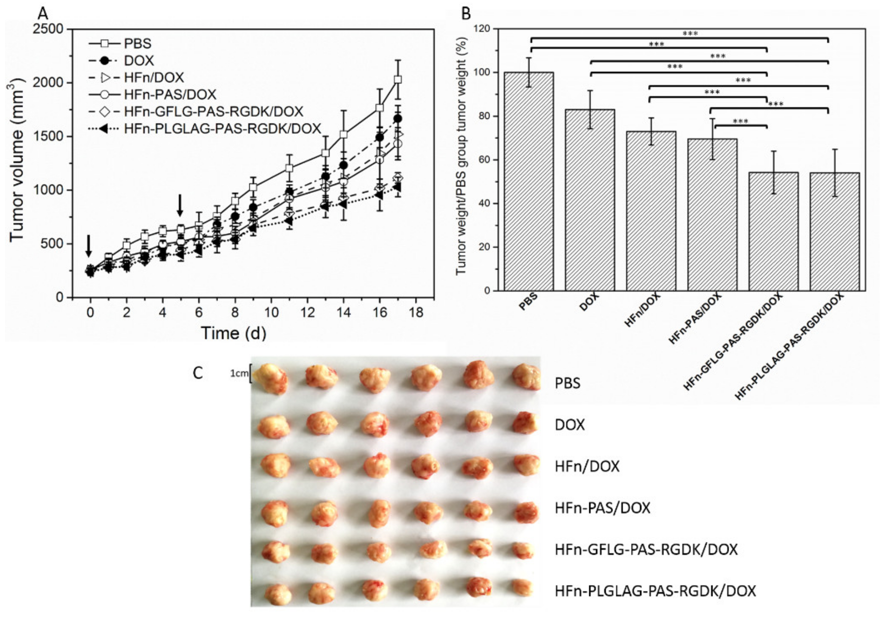 Pharmaceutics 13 00521 g007