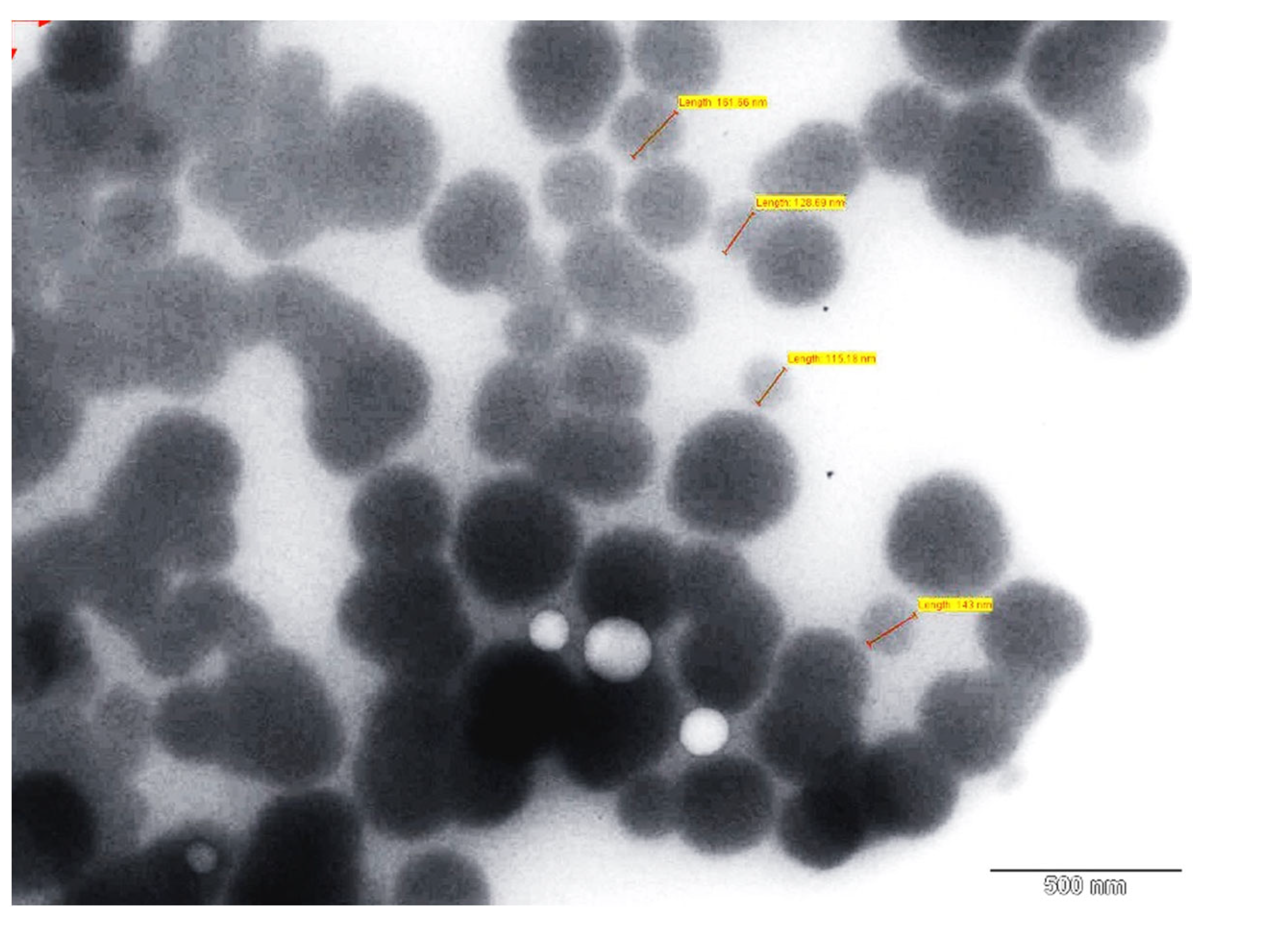 Pharmaceutics 13 00523 g012