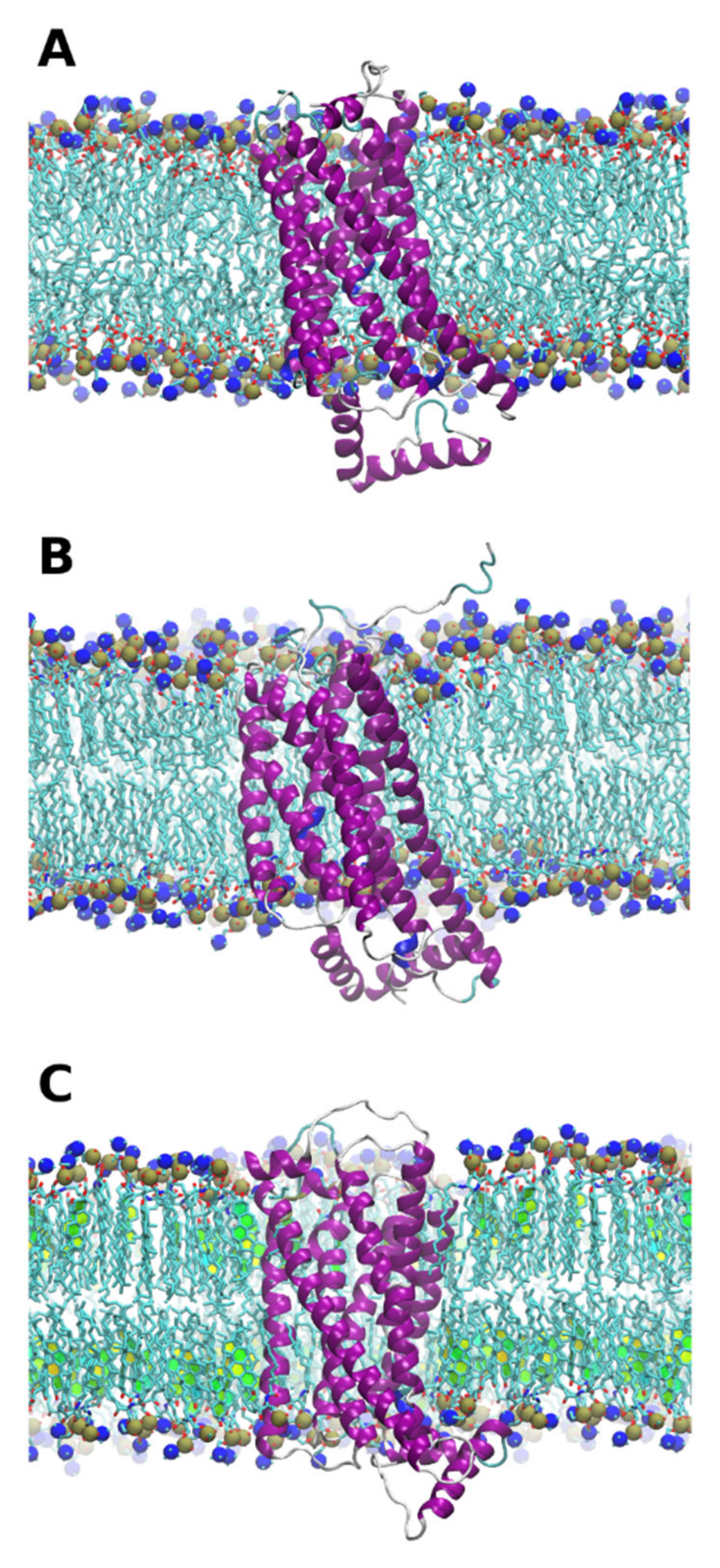 Pharmaceutics 13 00524 g001