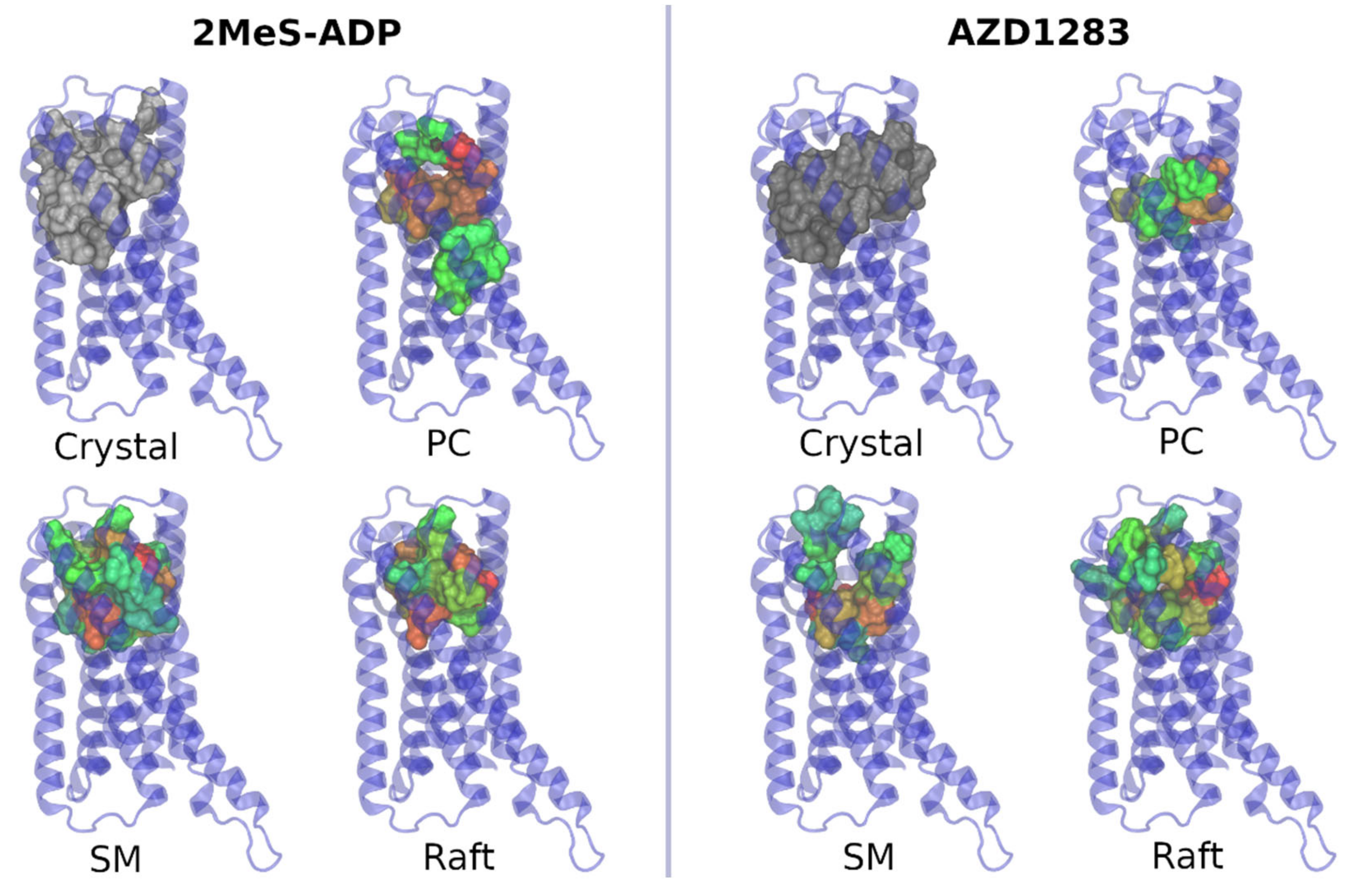 Pharmaceutics 13 00524 g007