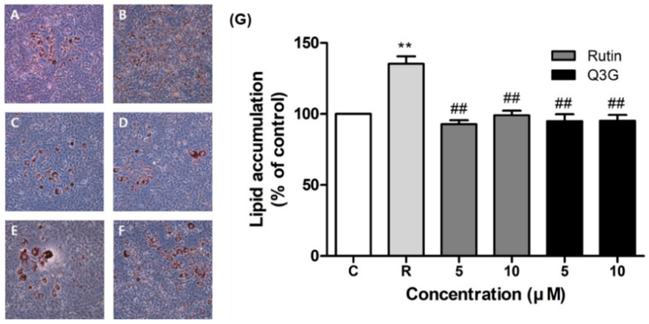 Pharmaceutics 13 00526 g006 Pharmaceutics 13 00526 g006
