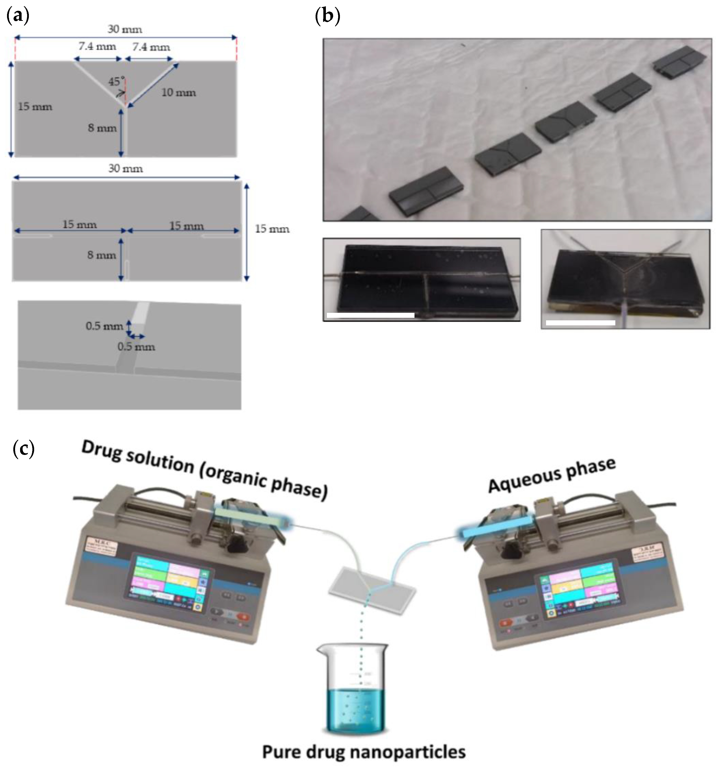 Pharmaceutics 13 00529 g001 Pharmaceutics 13 00529 g001