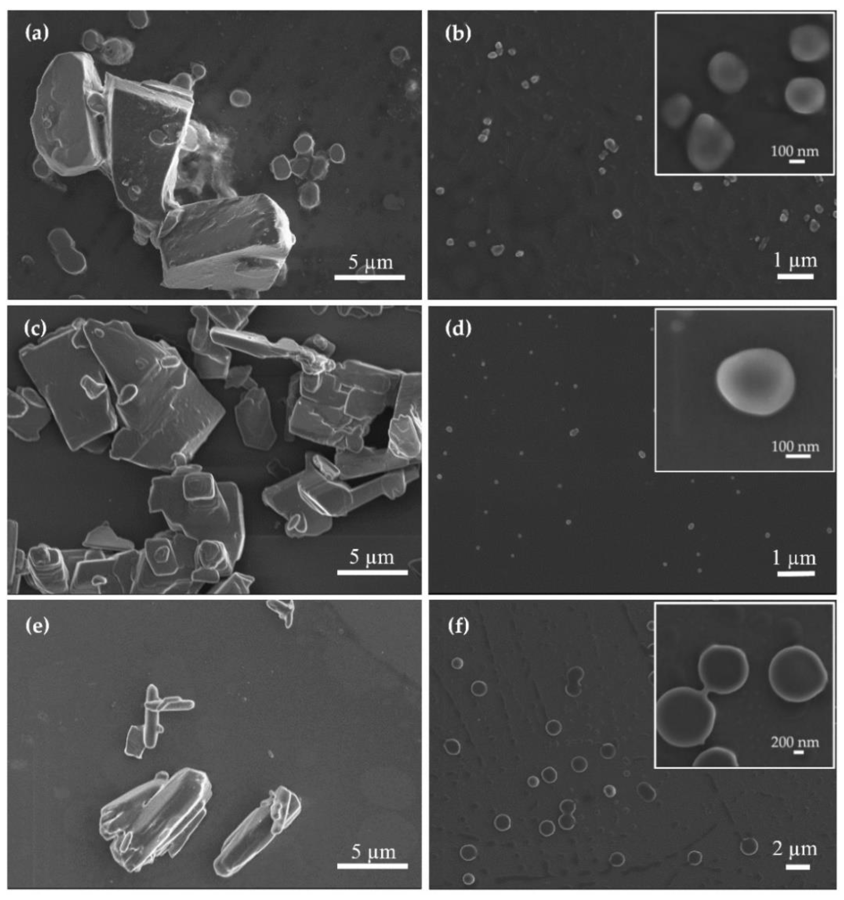 Pharmaceutics 13 00529 g007 Pharmaceutics 13 00529 g007