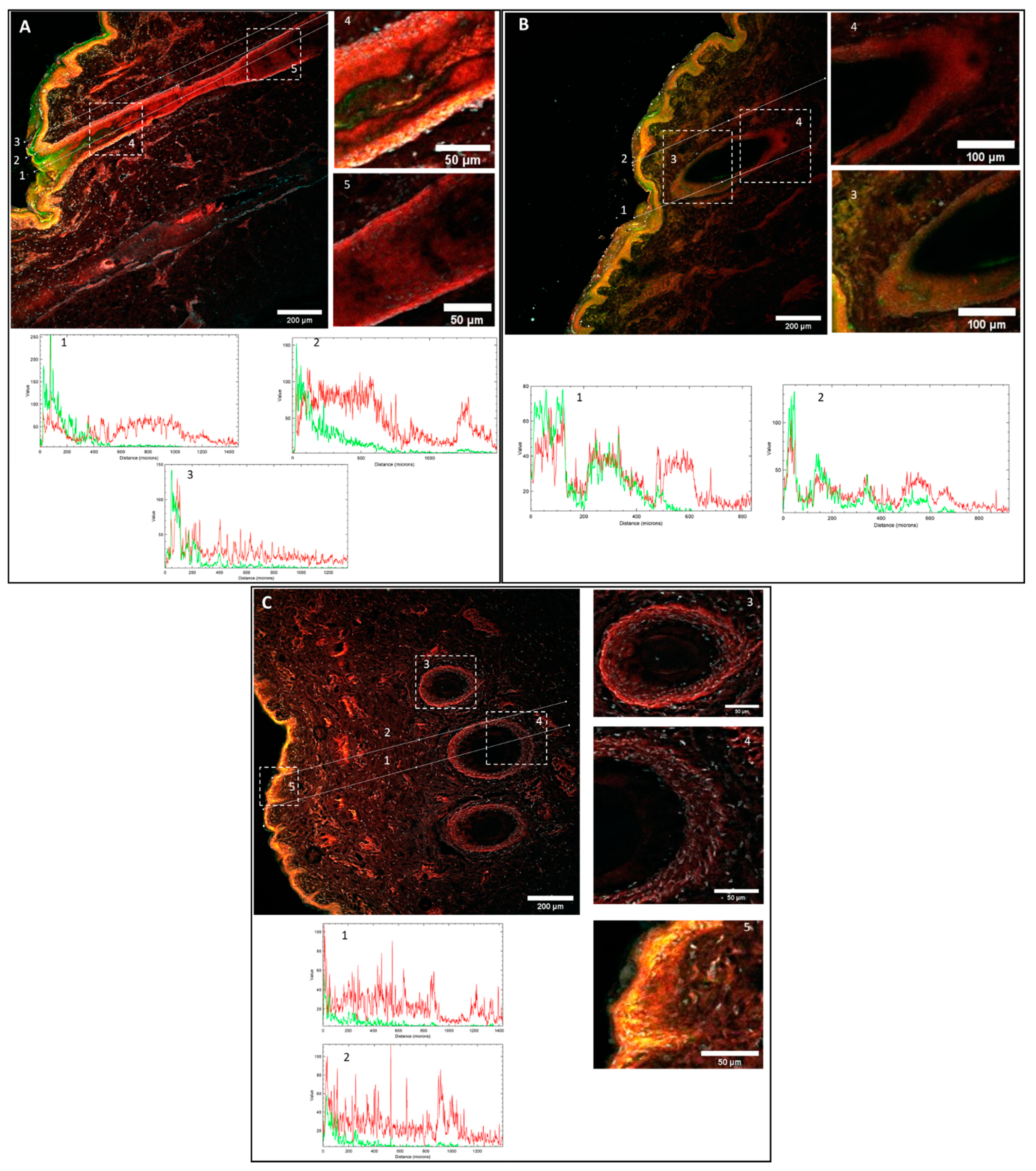 Pharmaceutics 13 00533 g005 Pharmaceutics 13 00533 g005