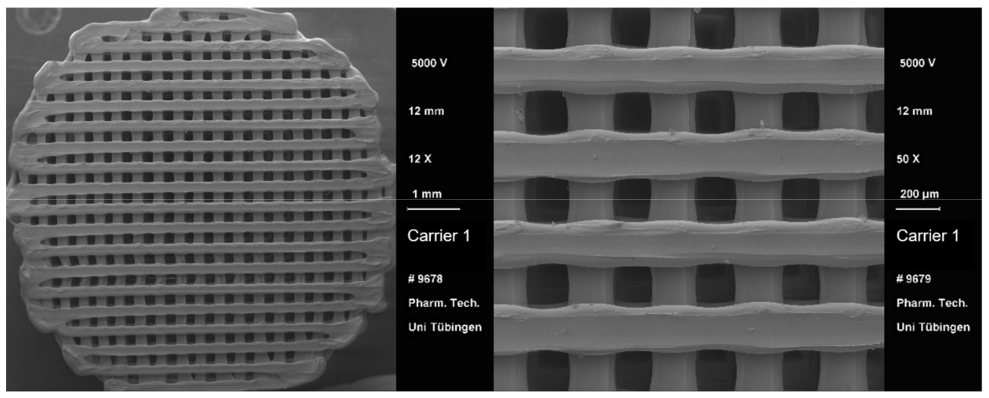 Pharmaceutics 13 00543 g005