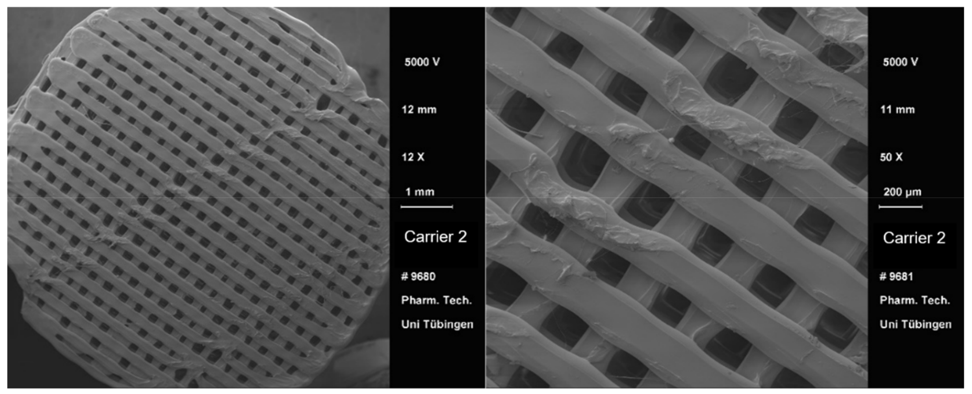 Pharmaceutics 13 00543 g006