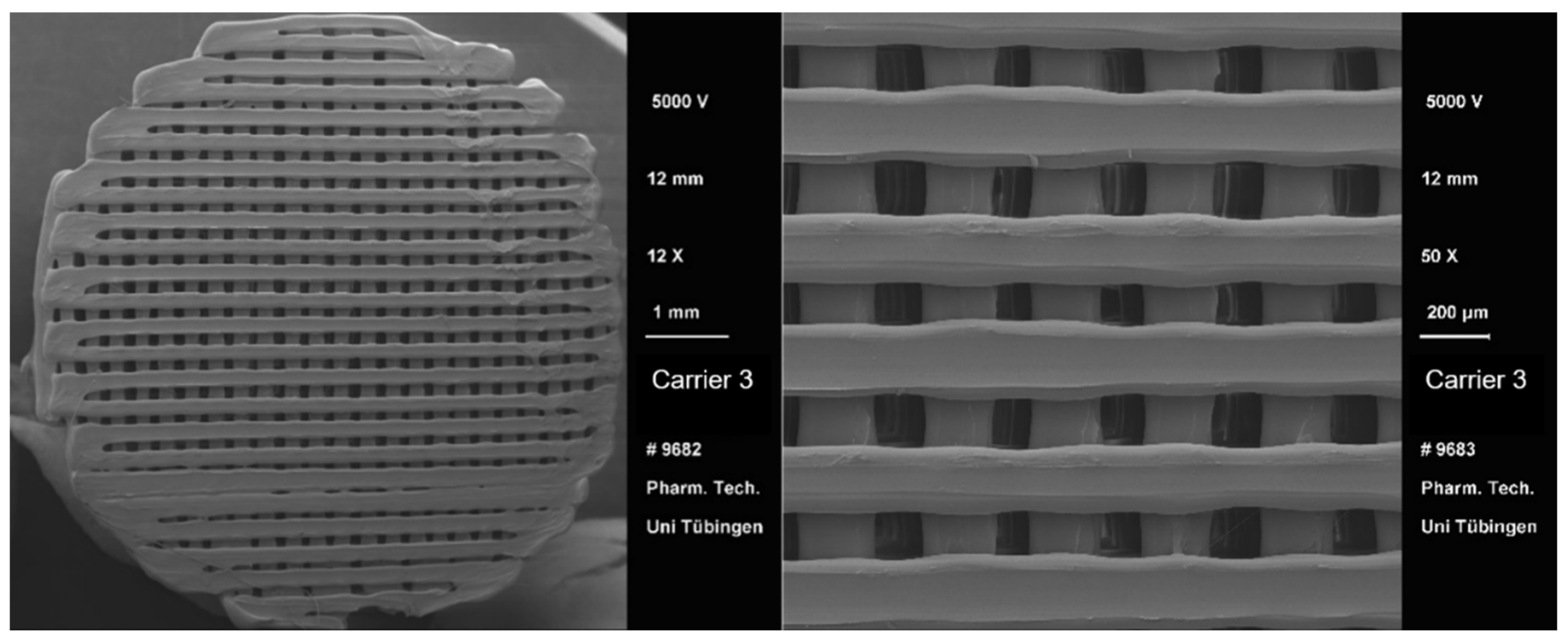 Pharmaceutics 13 00543 g007