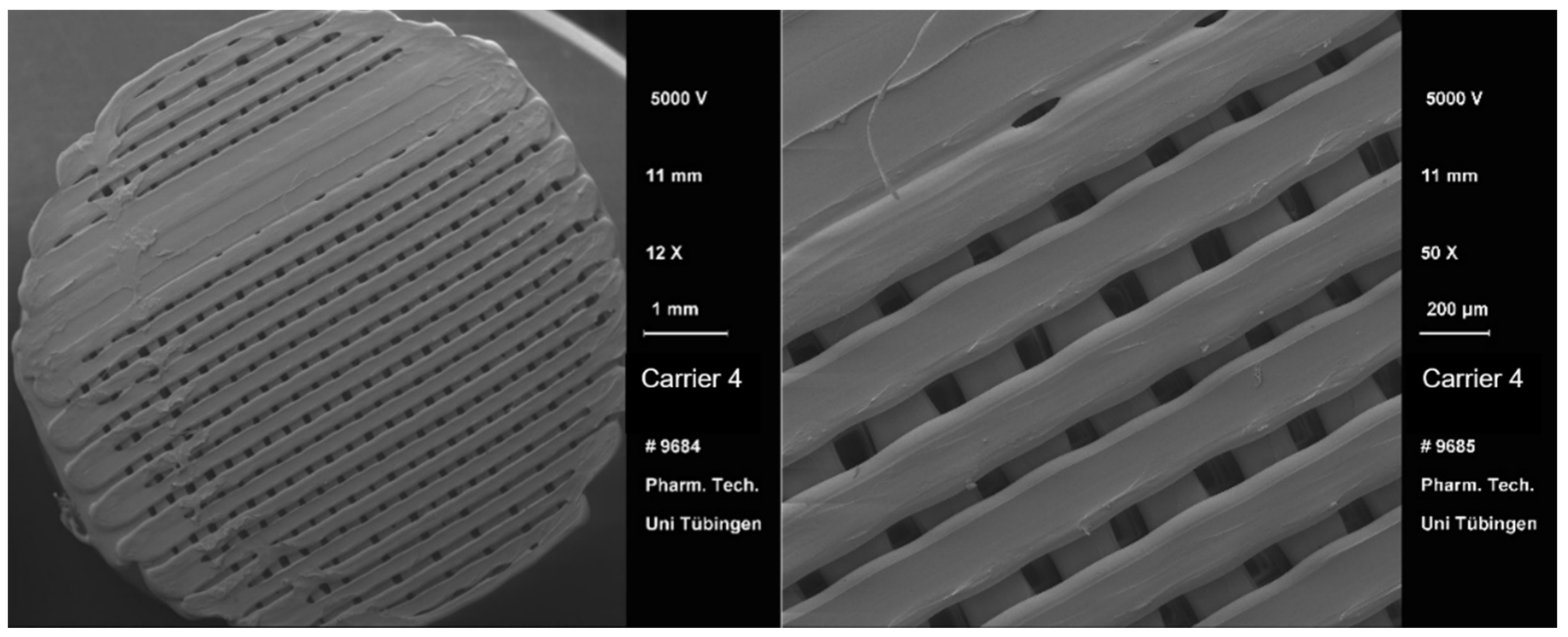 Pharmaceutics 13 00543 g008
