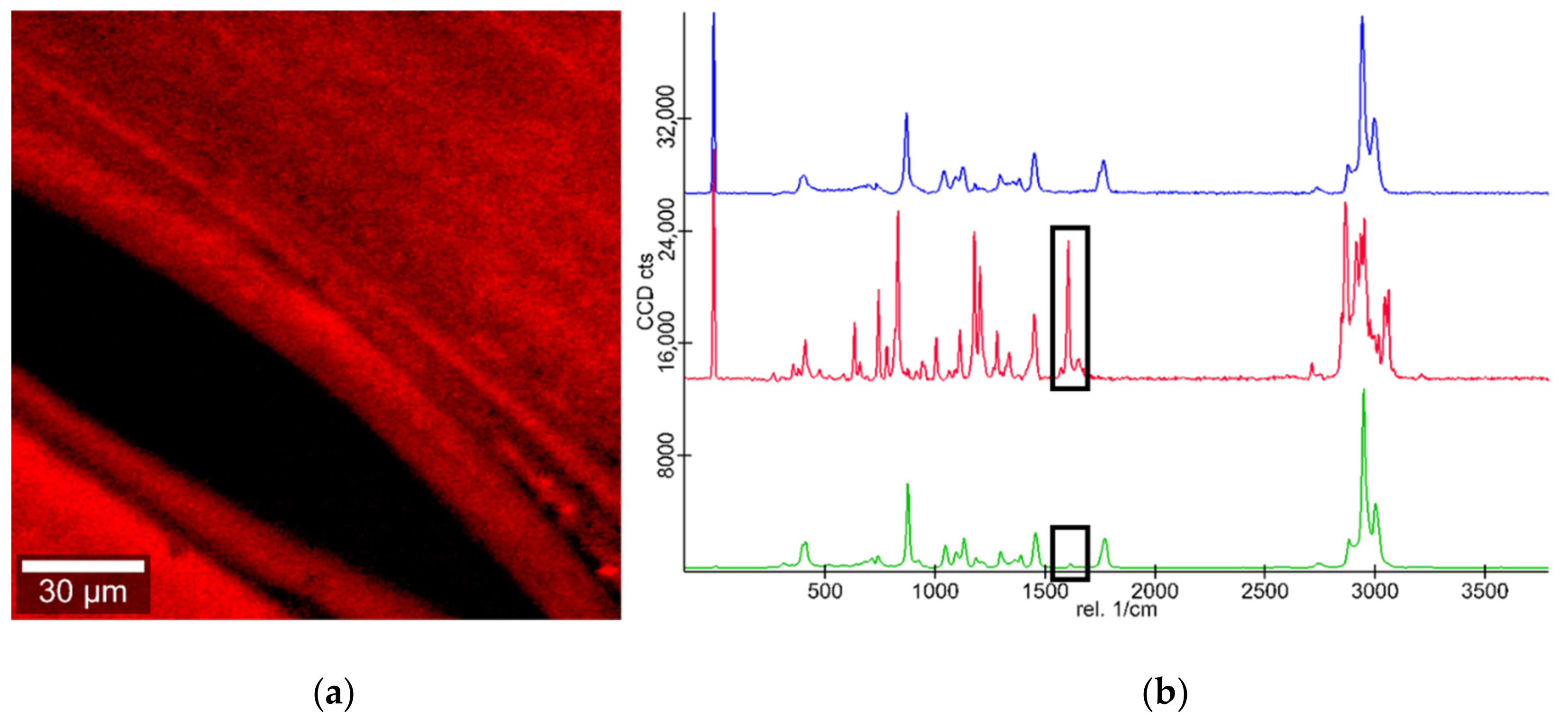 Pharmaceutics 13 00543 g009