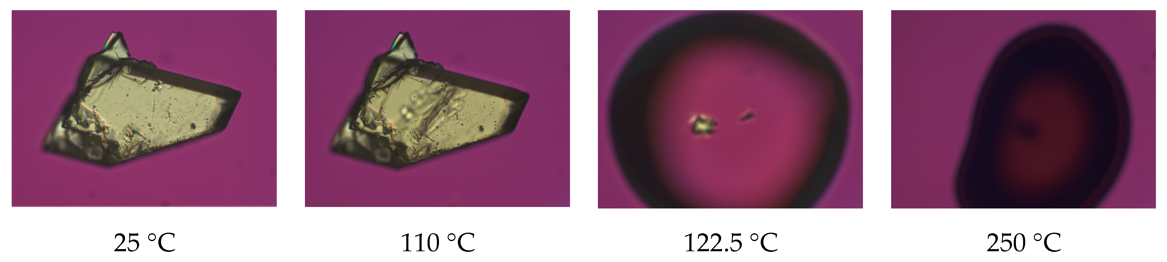 Pharmaceutics 13 00546 g005 Pharmaceutics 13 00546 g005