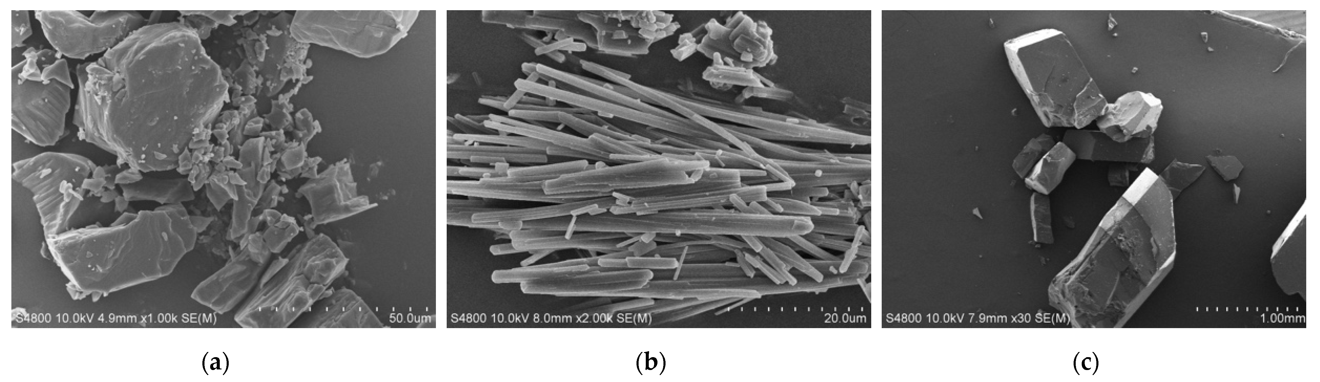 Pharmaceutics 13 00546 g006 Pharmaceutics 13 00546 g006