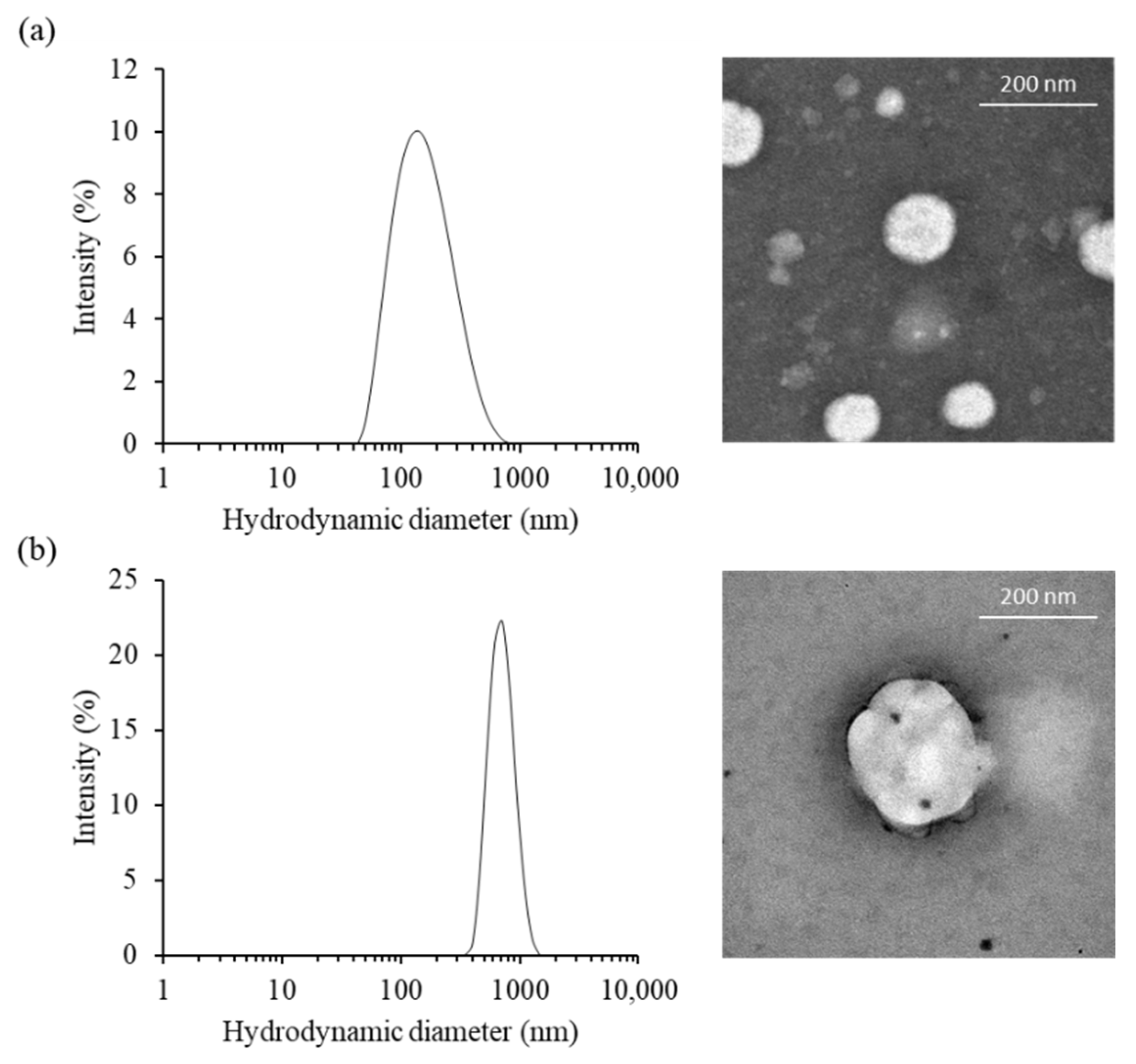 Pharmaceutics 13 00550 g001