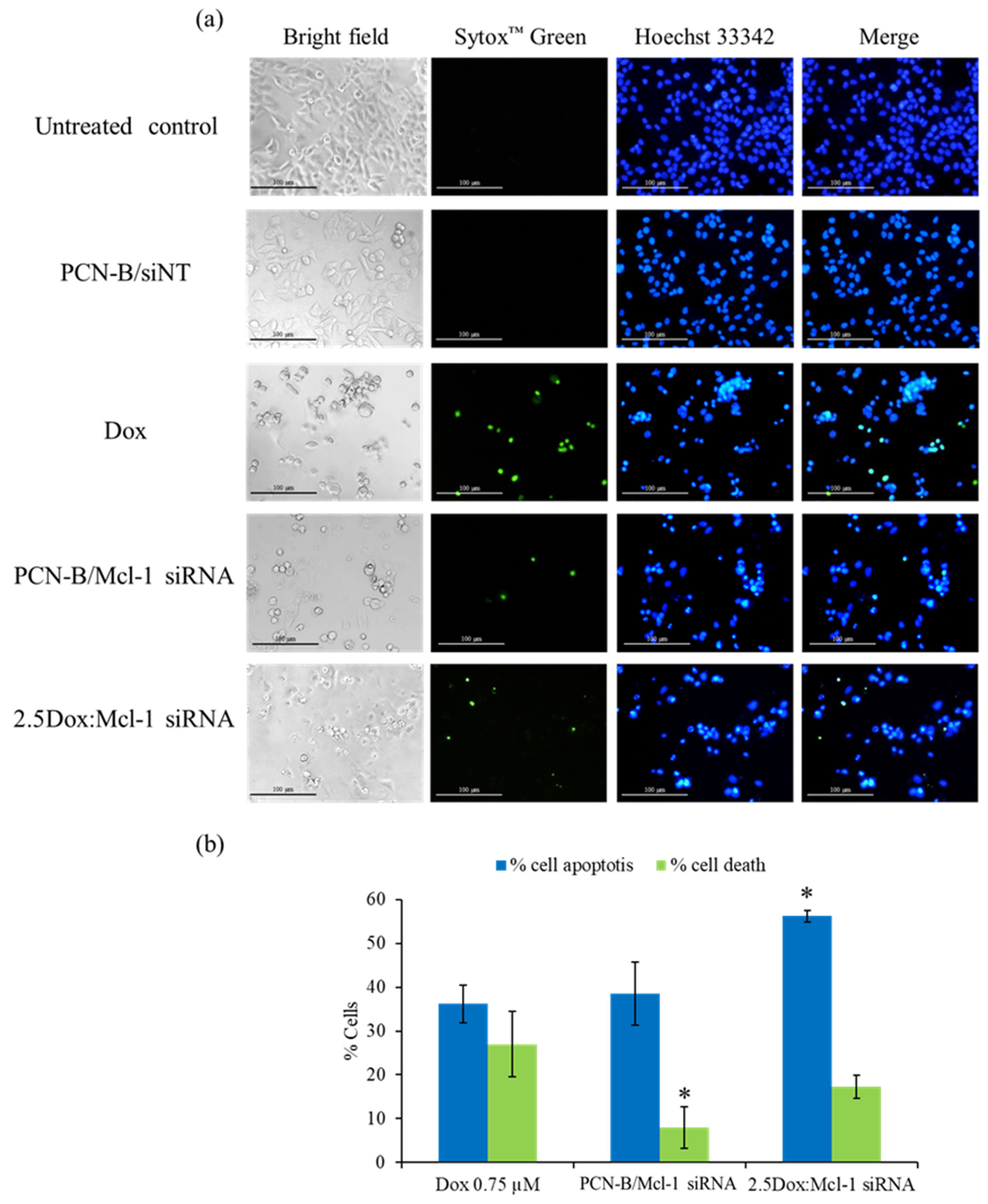 Pharmaceutics 13 00550 g008